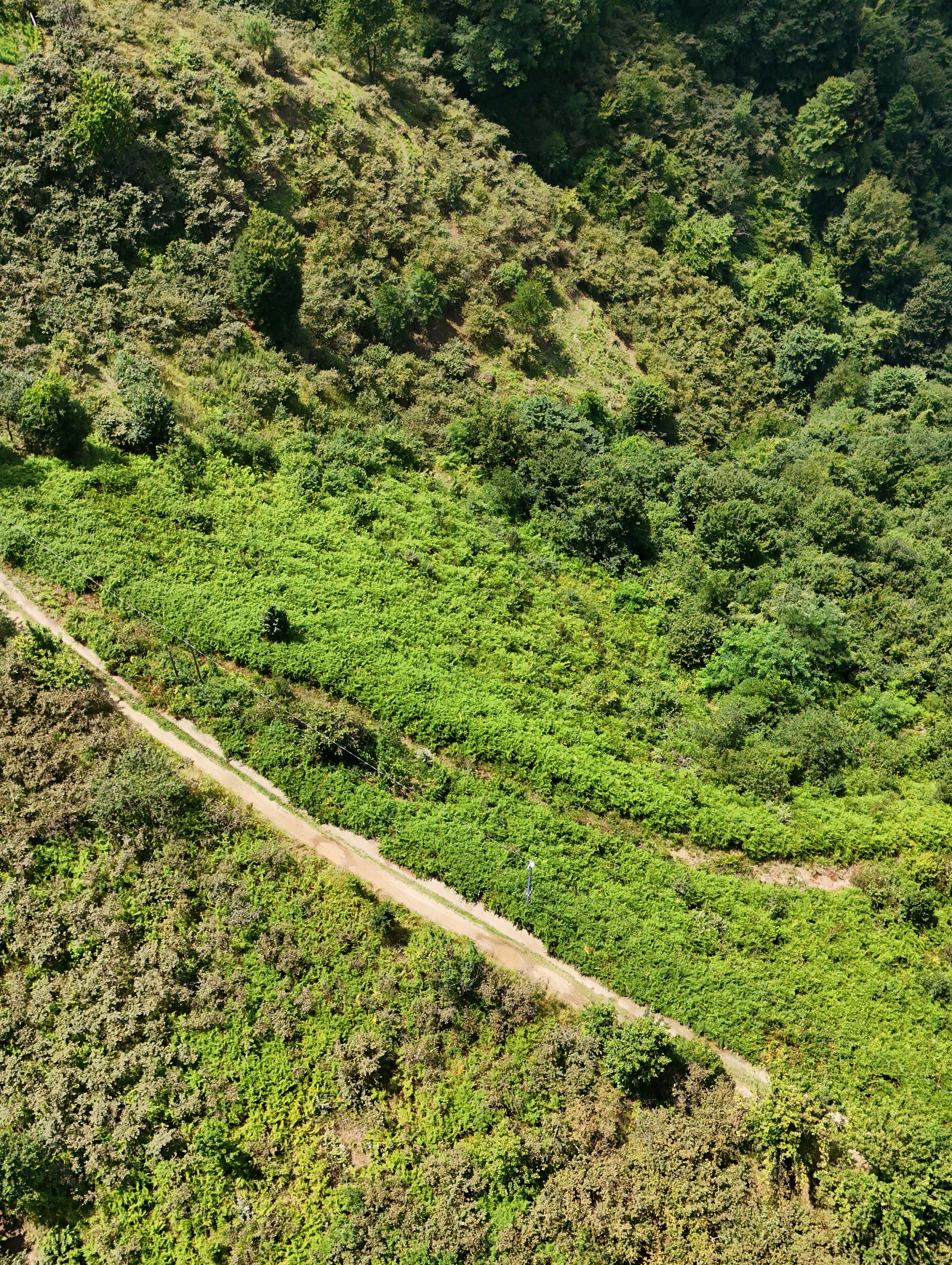 MABEL GAYRİMENKUL KEŞAP GÜNEYKÖY DENİZ MANZARALI VİLLALIK BAHÇE