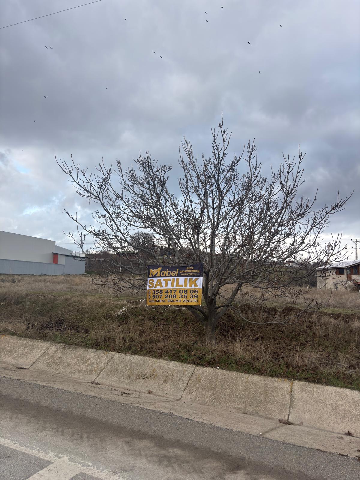 MABELDEN FIRSAT ARSA