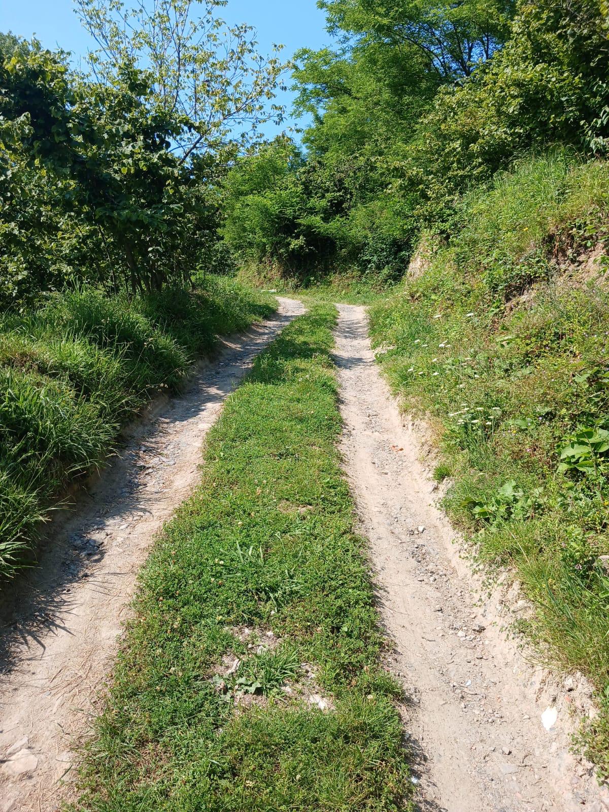 KIŞLA ÖNÜ LİMANI YUKARISINDA BAHÇE