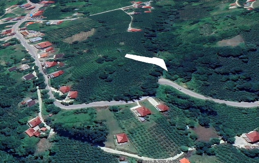 GÖLKÖY FINDIK BAHÇESİ 896 M2