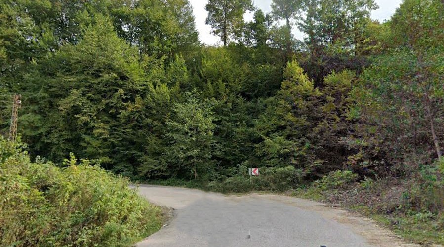 GÖLKÖY FINDIK BAHÇESİ 896 M2