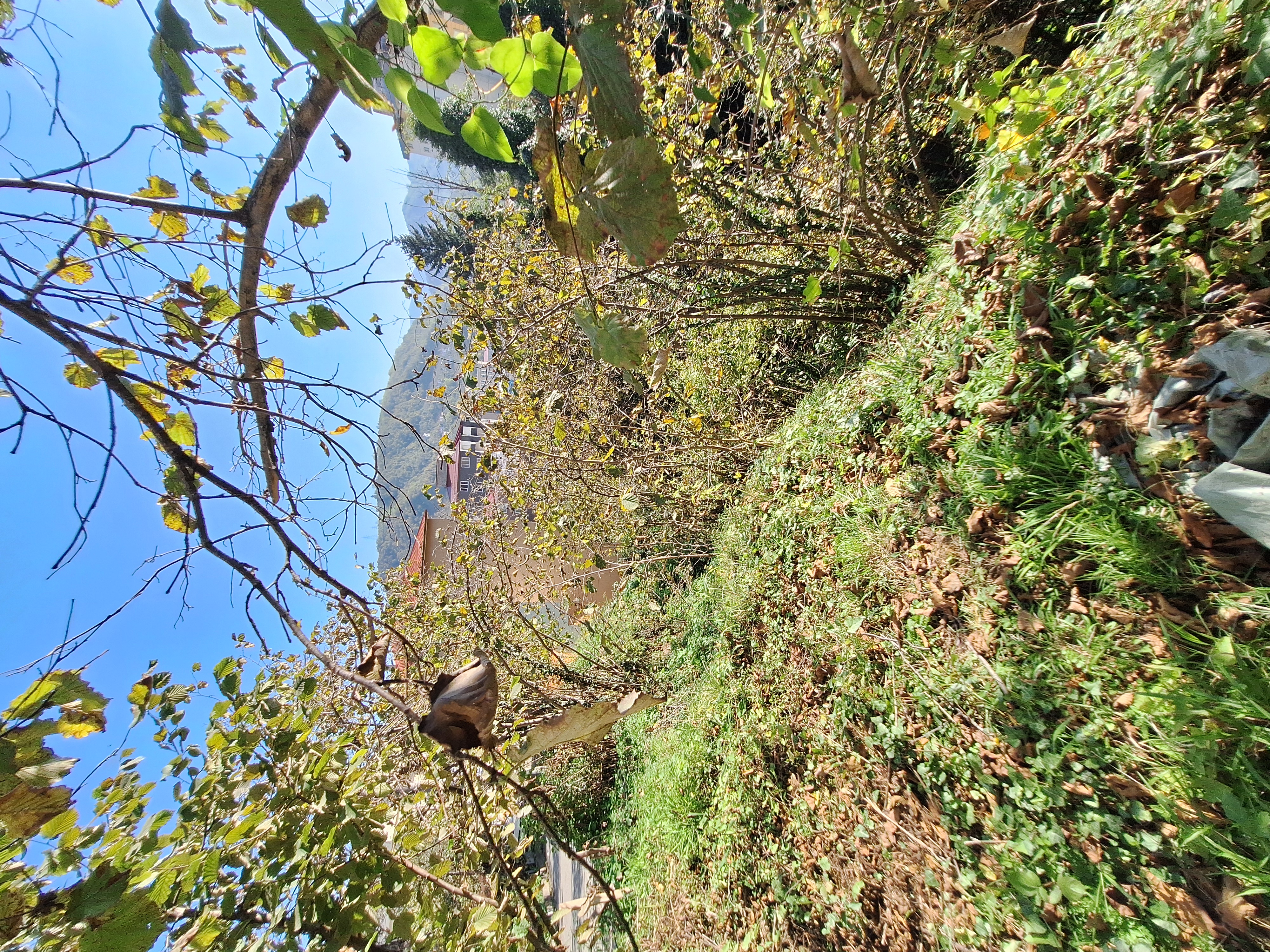 AKSU MAHLLESİ SATILIK ARSA