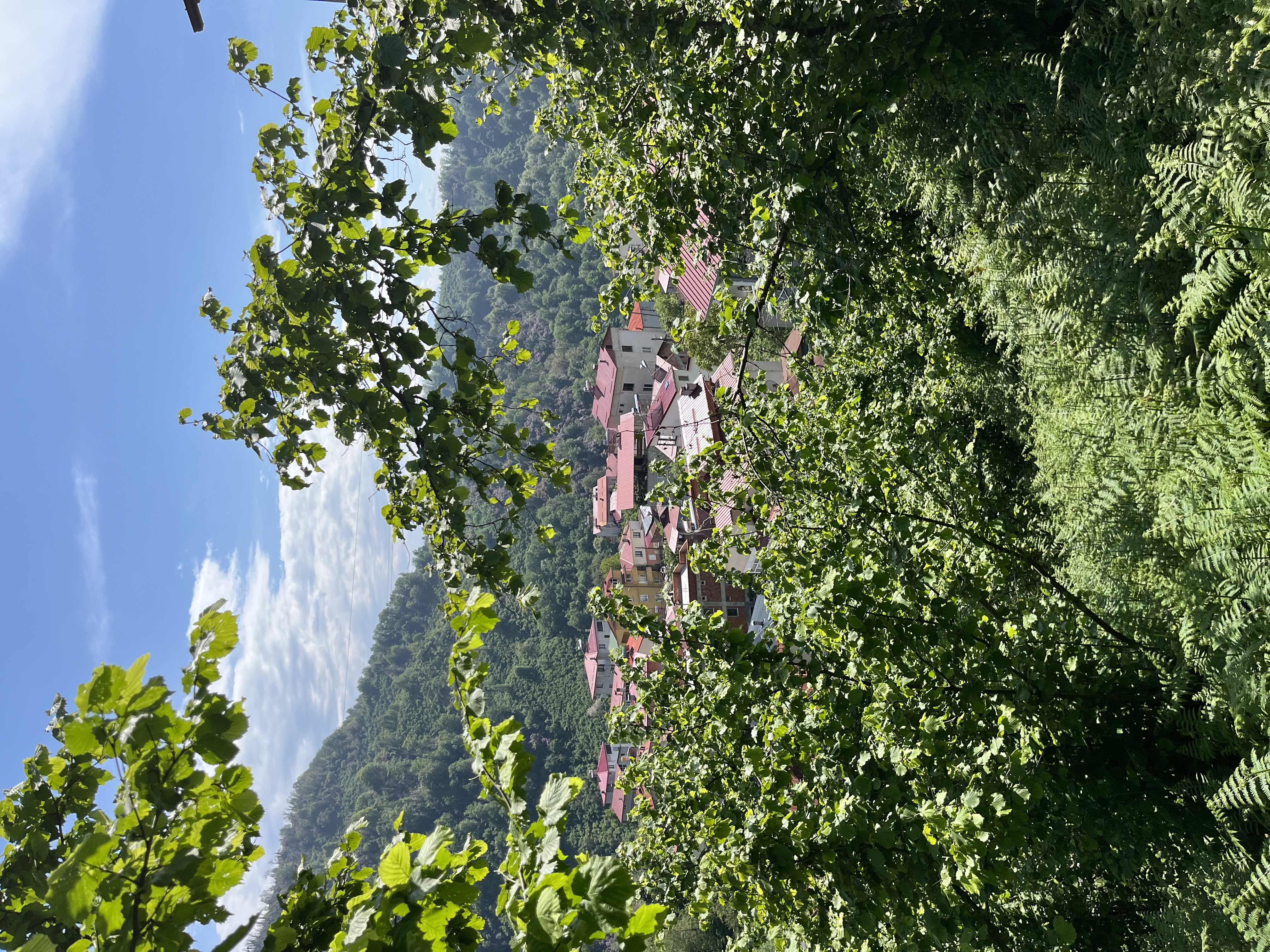 ESPİYE DEĞİRMENAĞZI