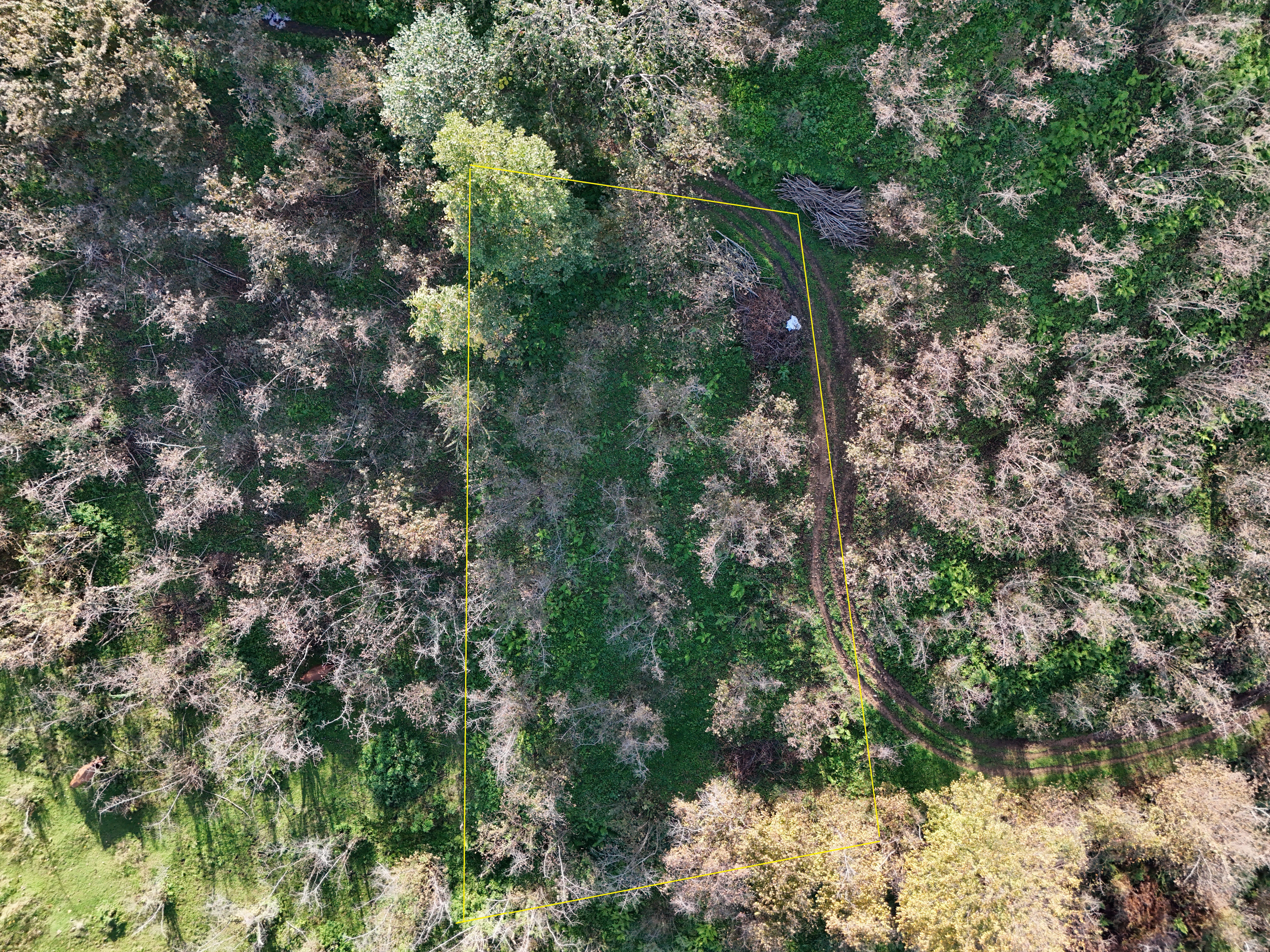 YALI MAHALLESİ SATILIK ARSA