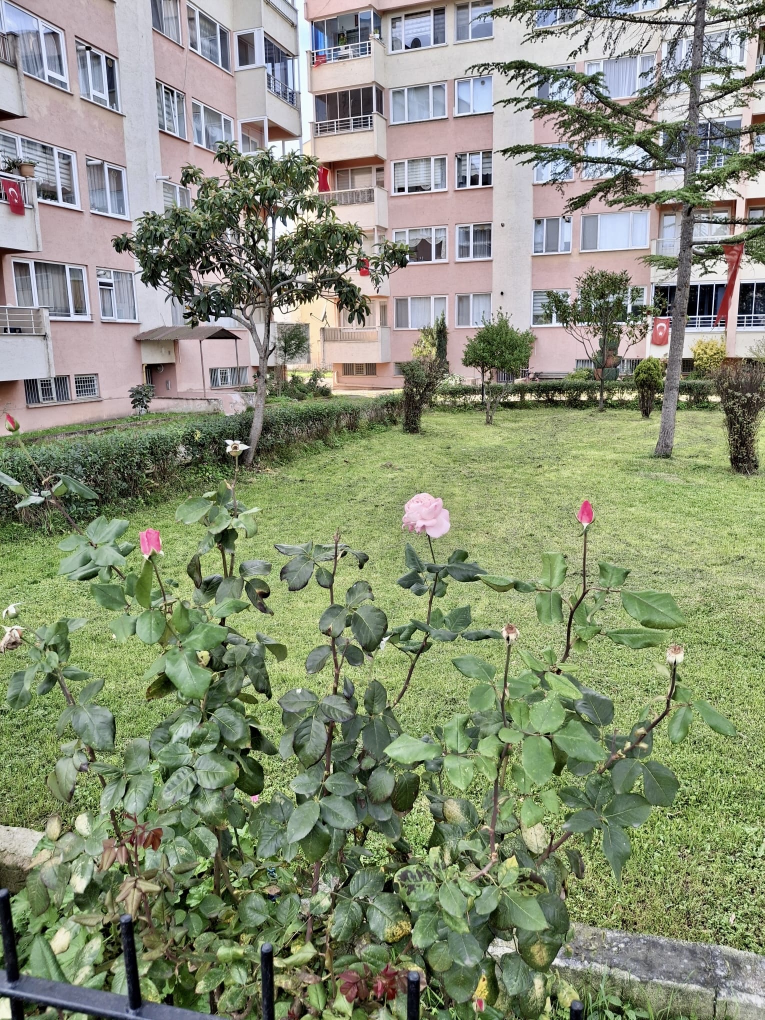 AKYAZI ORKENT SATILIK