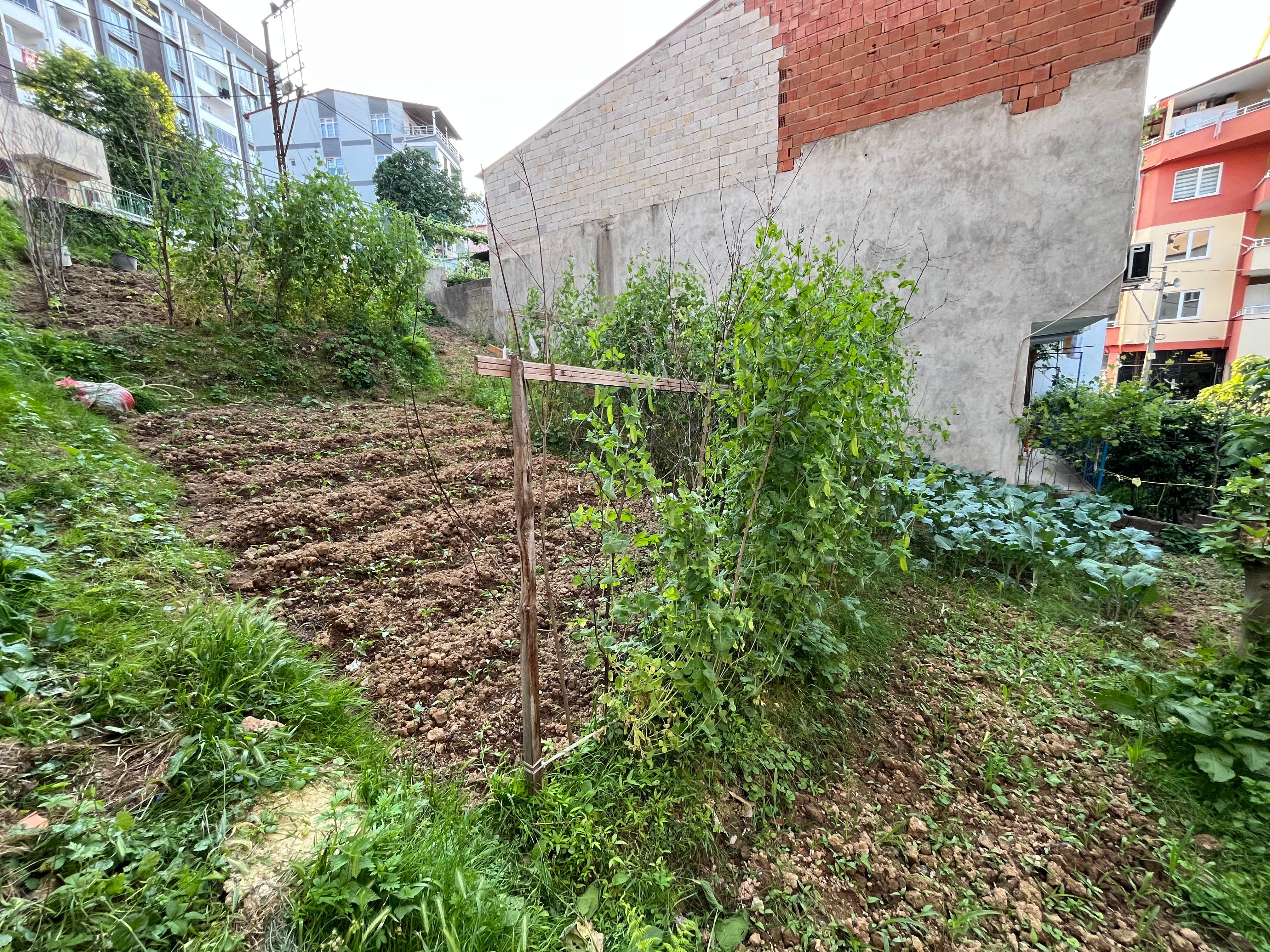 GİRESUN TEYYAREDÜZÜ MAH. YATIRIMCIYA FIRSAT İMARLI PARSEL ARSA