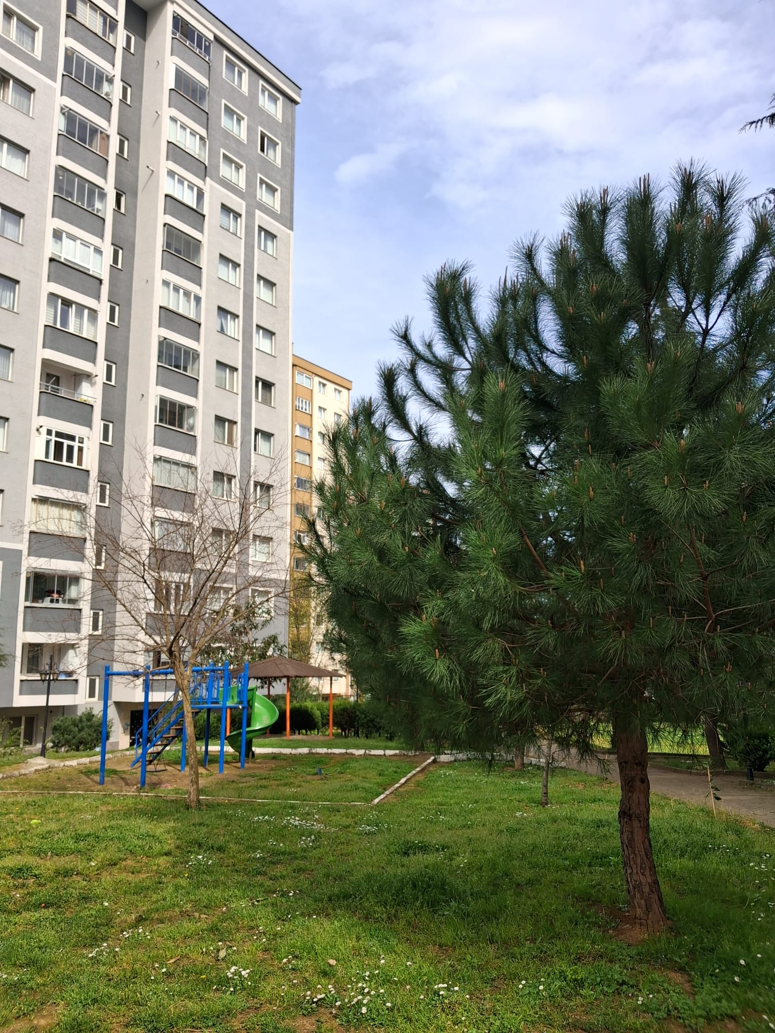 MABEL'DEN PELİTLİ YEŞİLKÖY MAH.GENİŞ FERAH DENİZ MANZARALI DAİRE