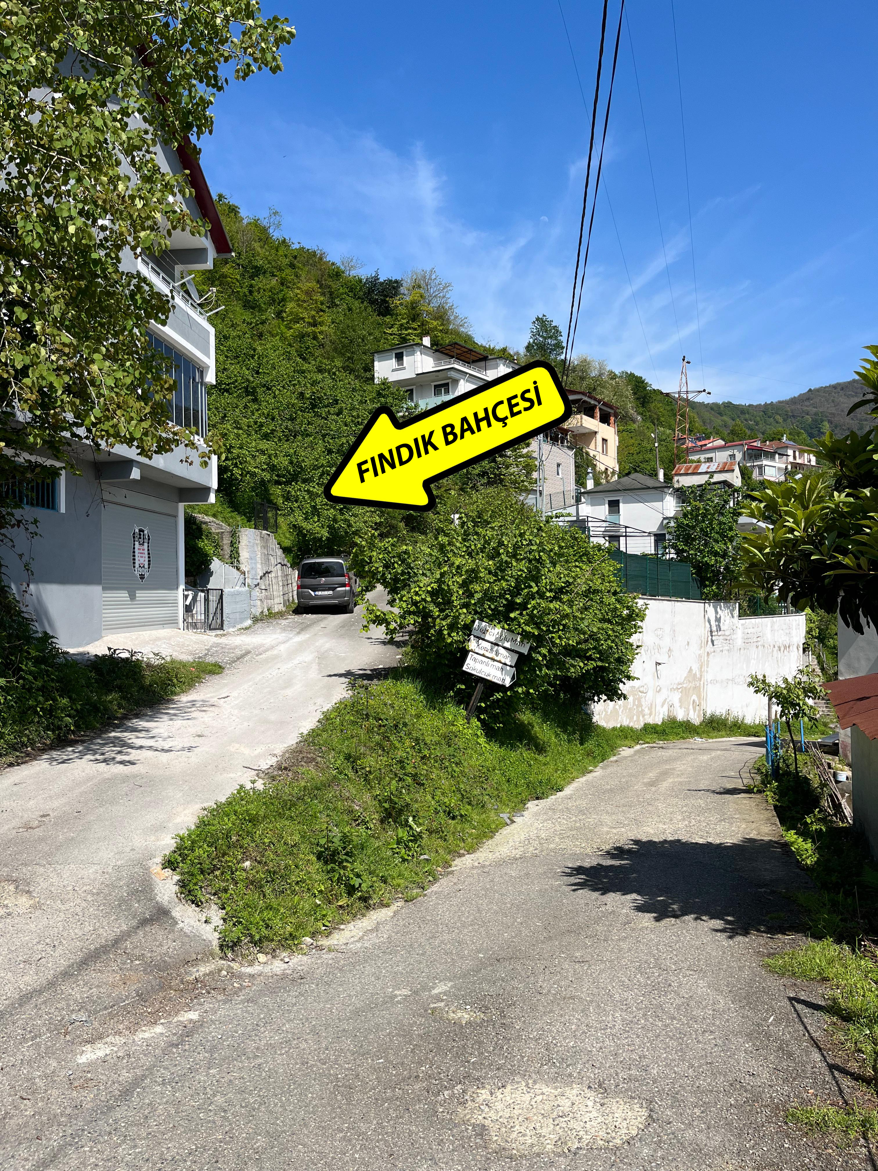 ESPİYE DEĞİRMENAĞZI