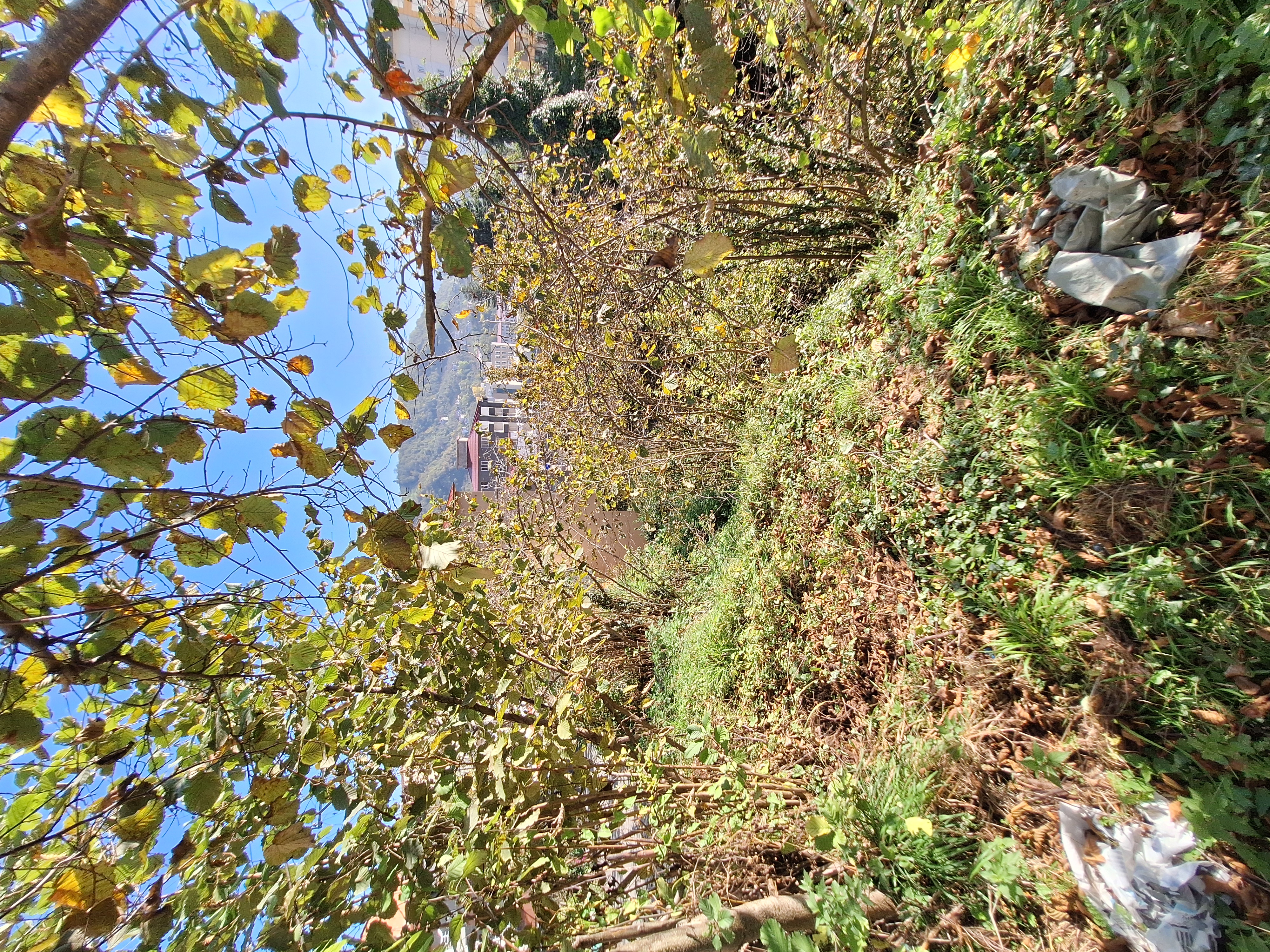 AKSU MAHLLESİ SATILIK ARSA