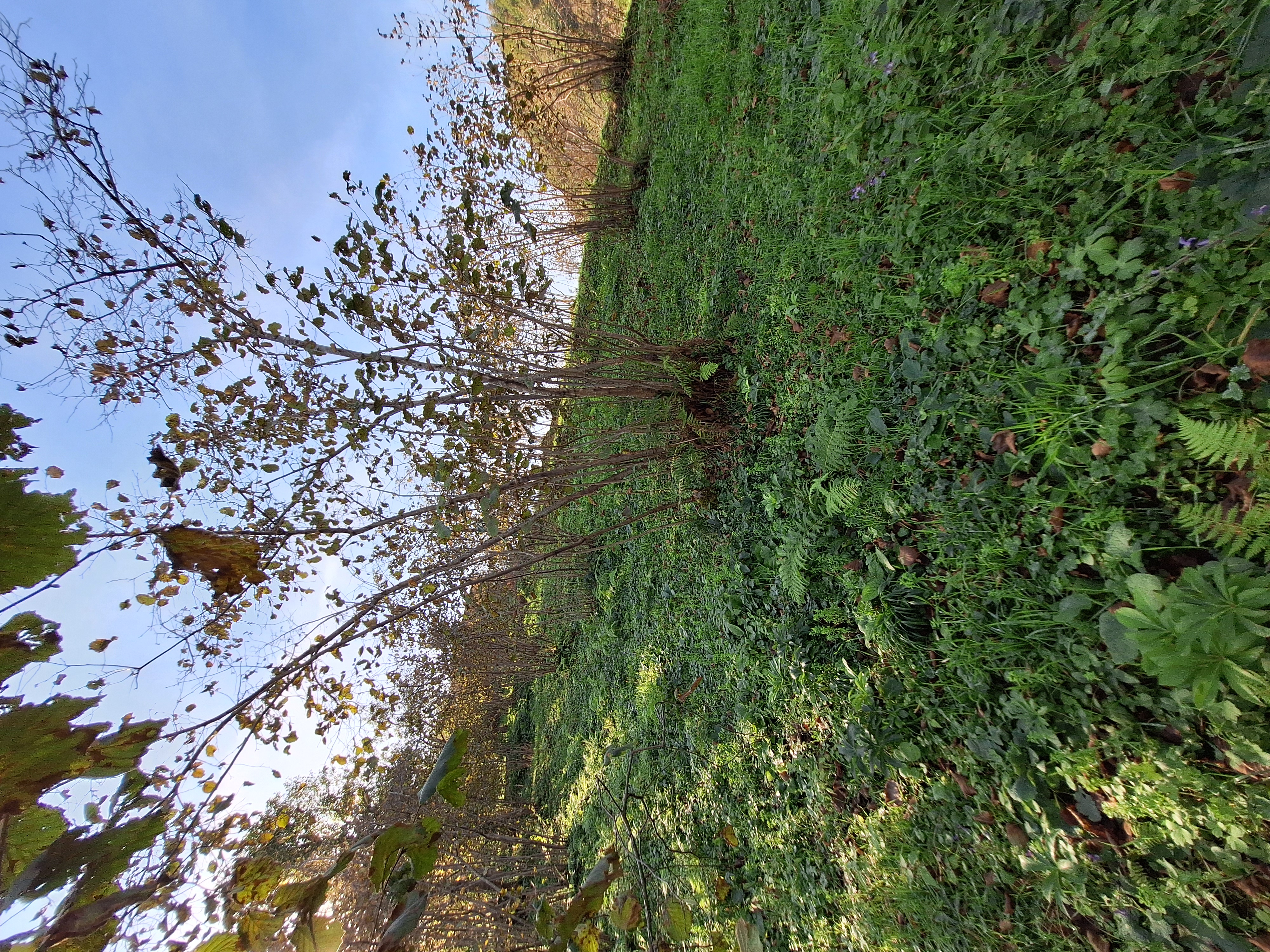 YALI MAHALLESİ SATILIK ARSA