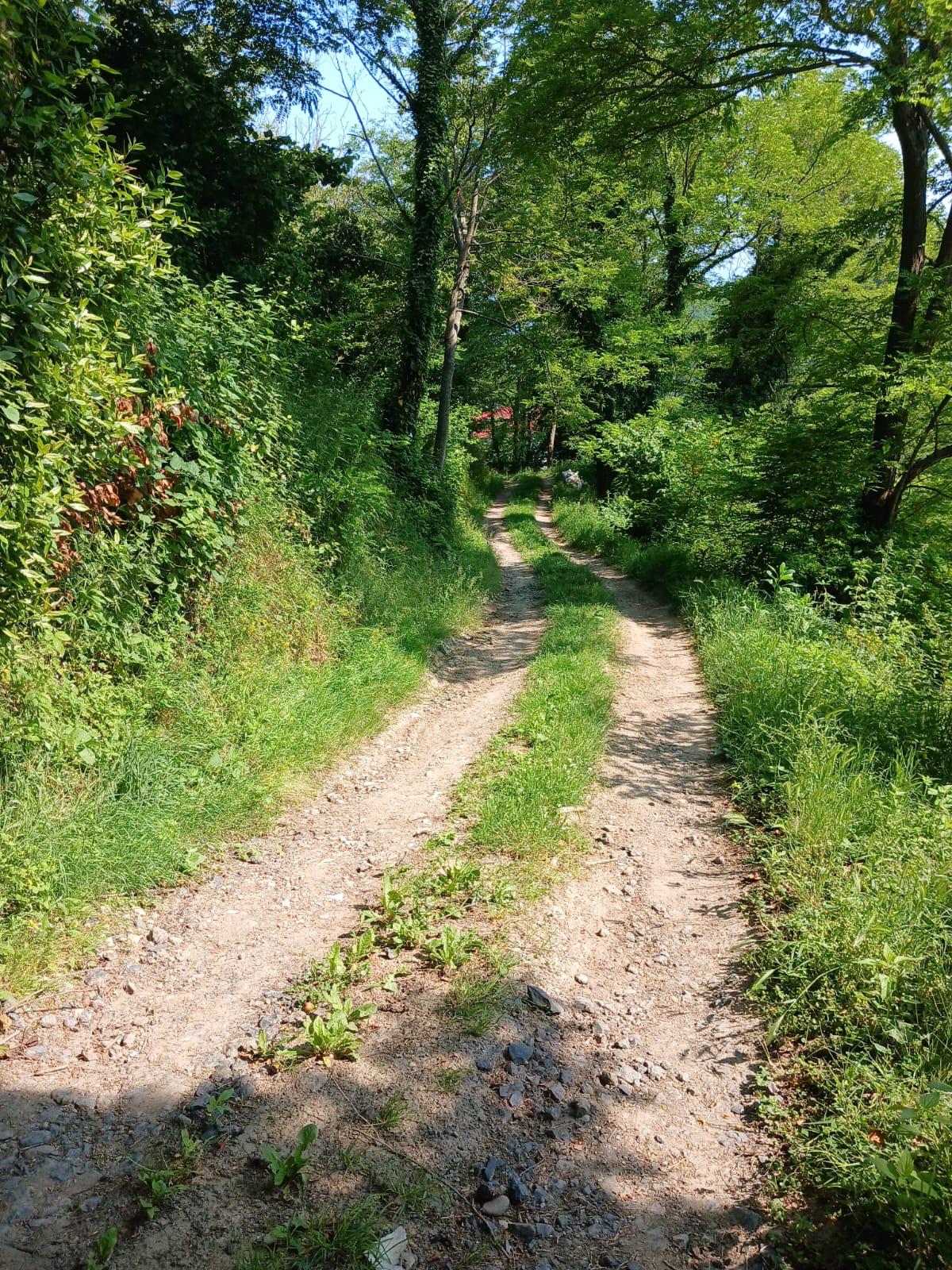 KIŞLA ÖNÜ LİMANI YUKARISINDA BAHÇE