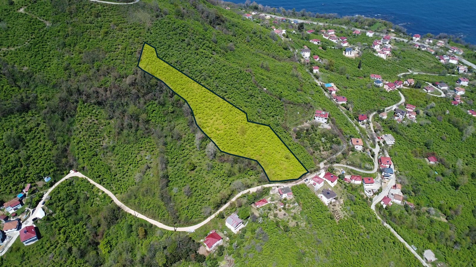 PERŞEMBE MERSİN MAH. FINDIK BAHÇESİ