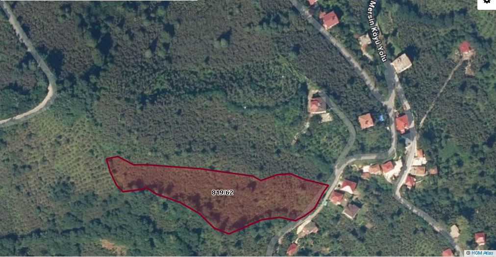 PERŞEMBE MERSİN MAH. FINDIK BAHÇESİ