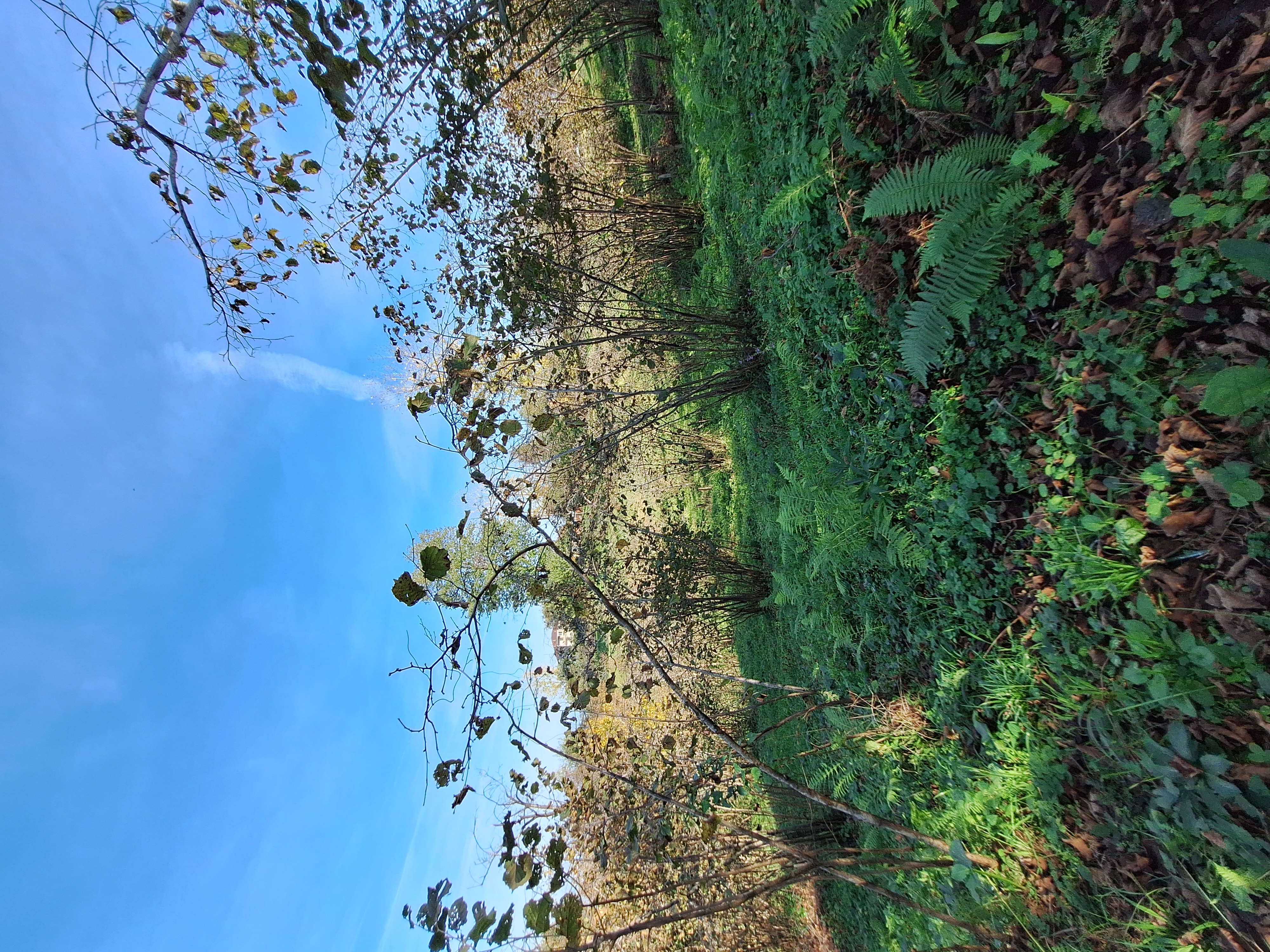 YALI MAHALLESİ SATILIK ARSA