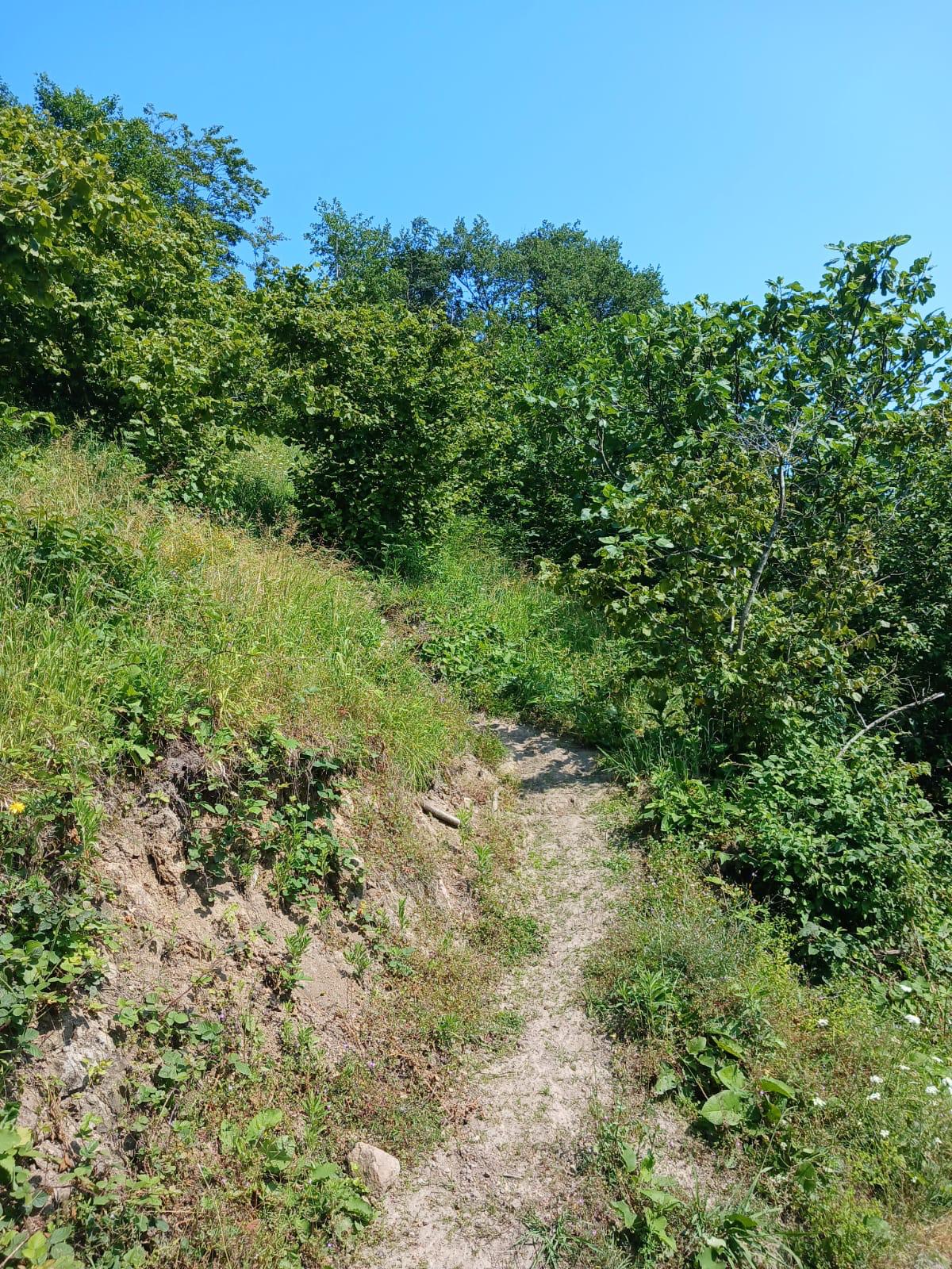 KIŞLA ÖNÜ LİMANI YUKARISINDA BAHÇE