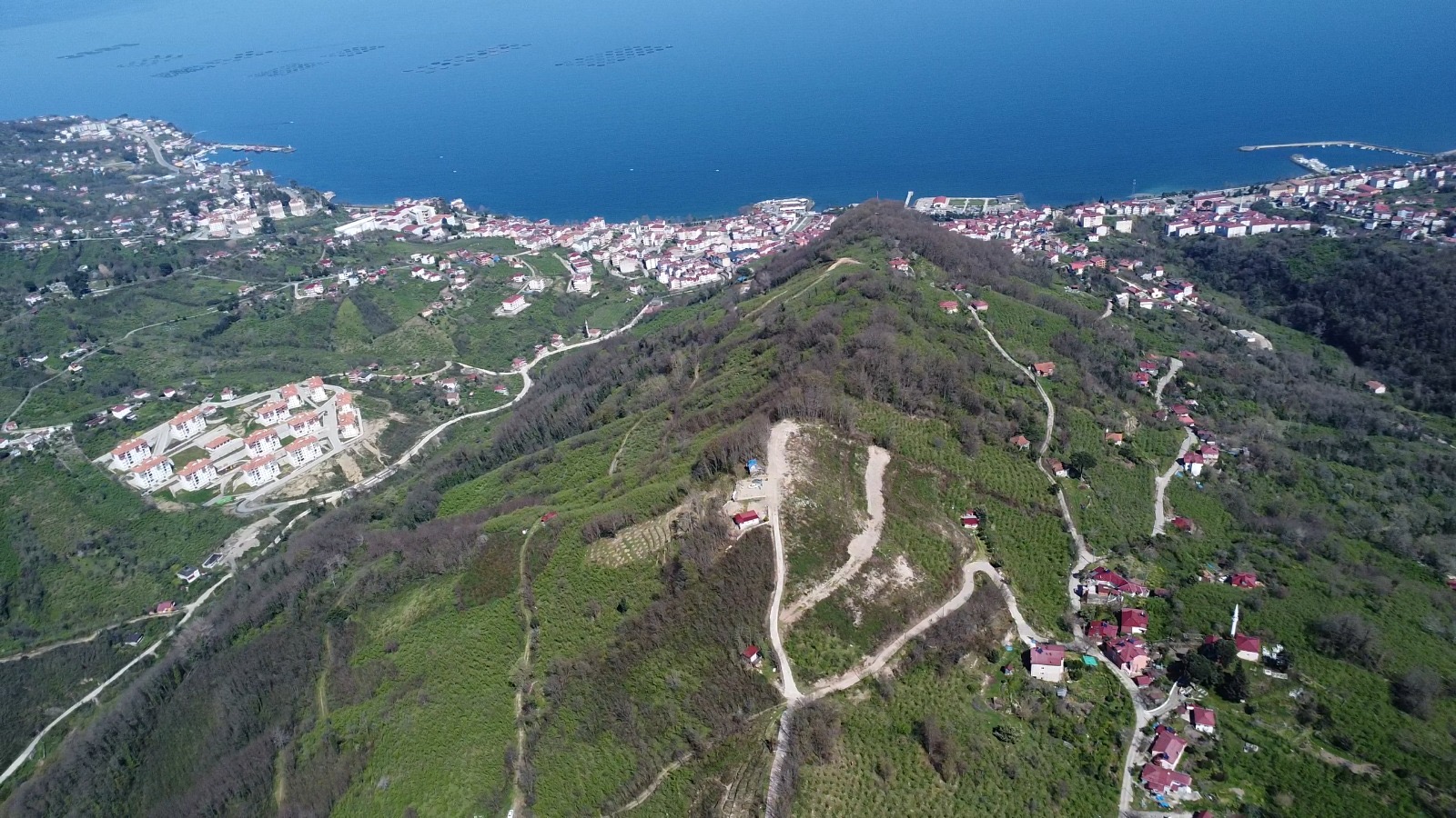 PERŞEMBE KOZAĞZI ARSA 2