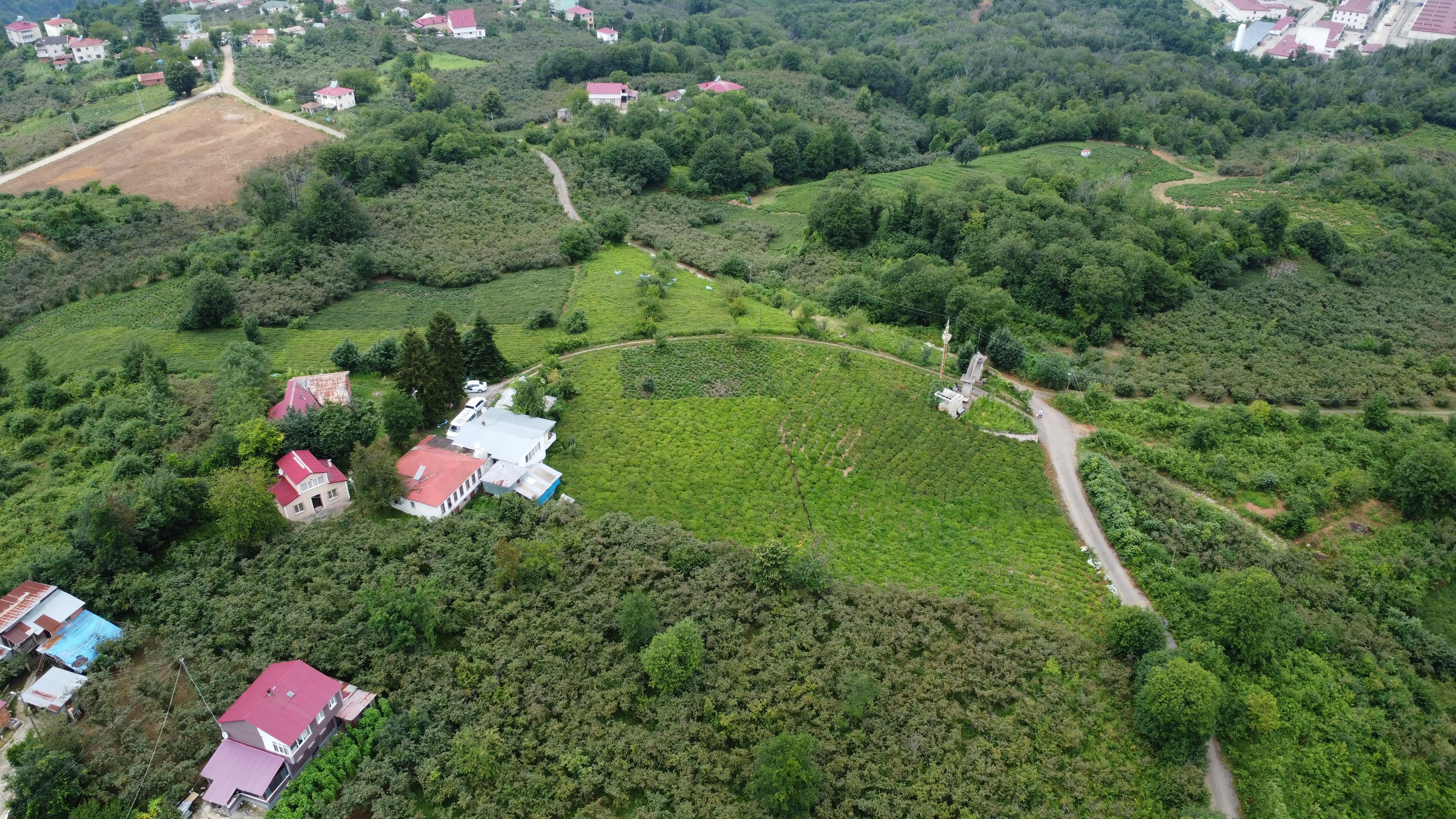 MABELDEN TRABZON BEŞİKDÜZÜNDE SATILIK FIRSAT ARSA