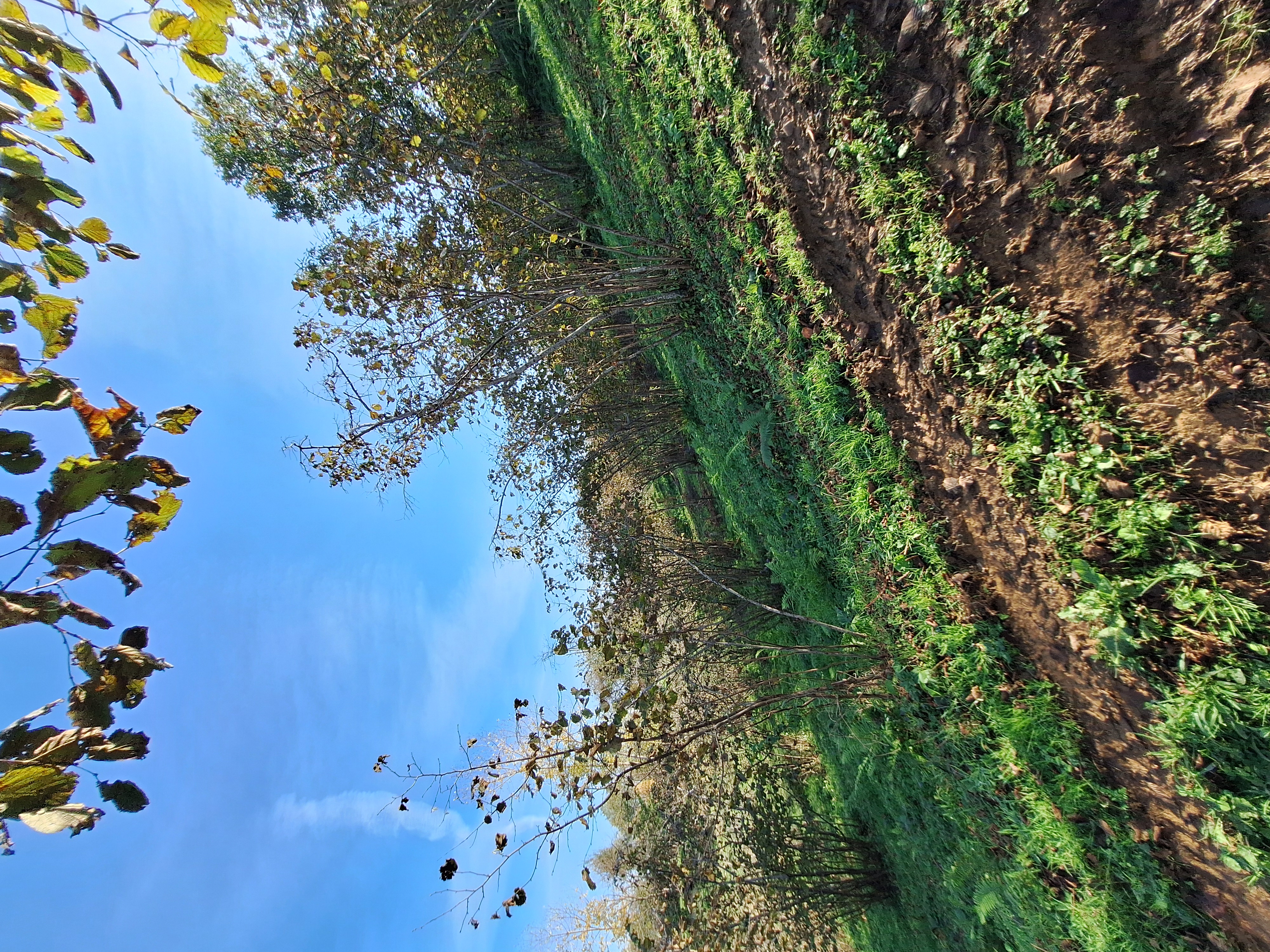 YALI MAHALLESİ SATILIK ARSA