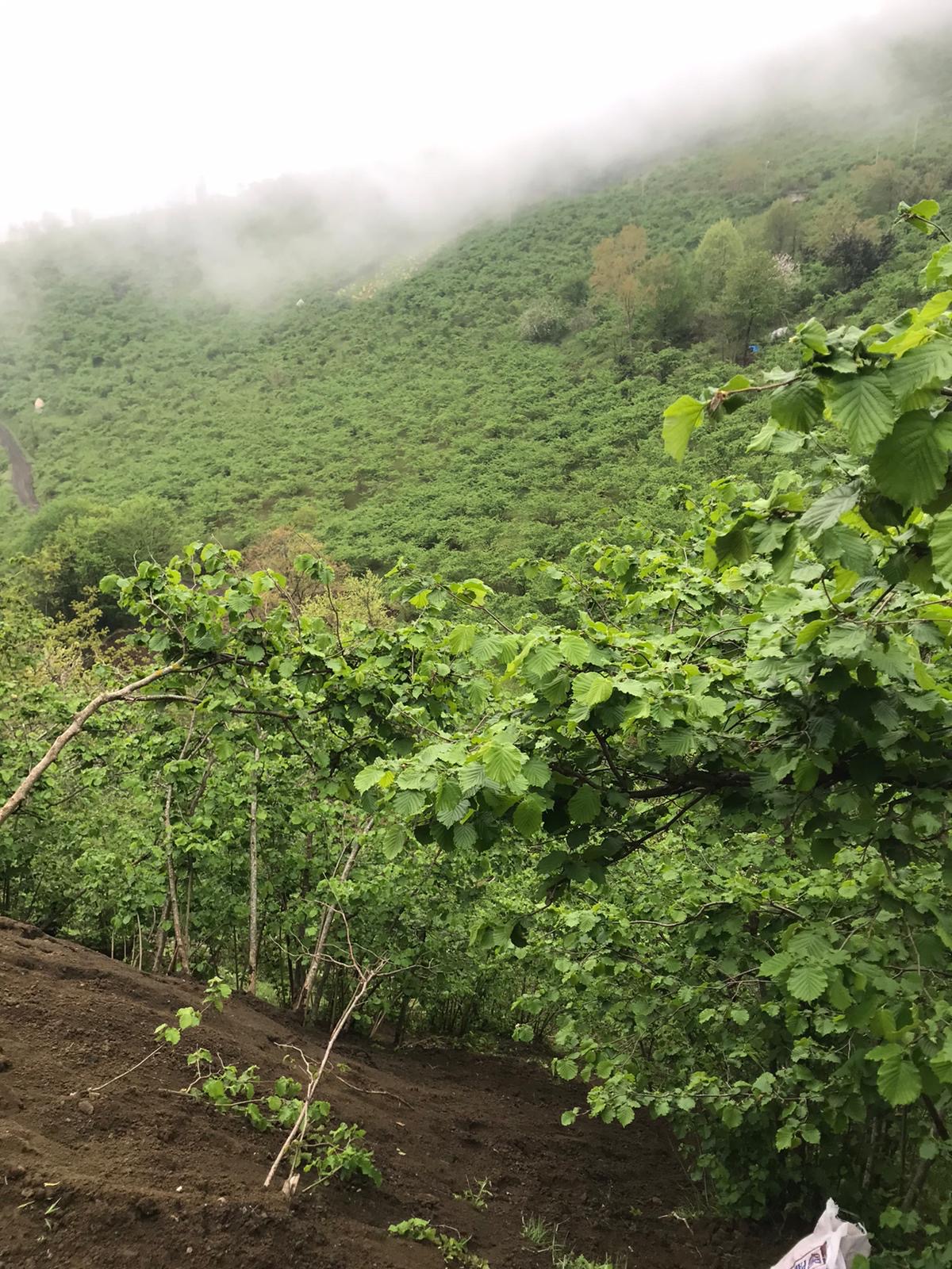 MABEL’DEN AKÇAKALE DE SATILIK 3086 M2 ARSA