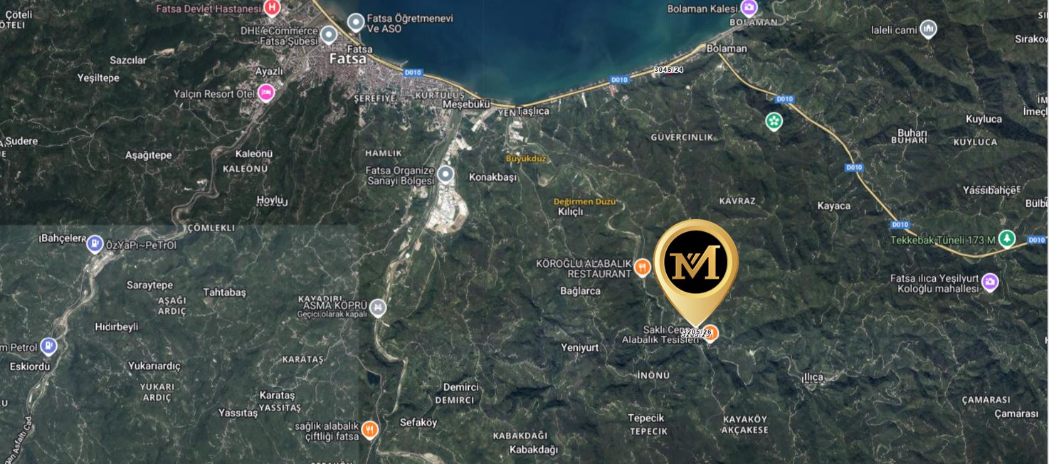 FATSA KAVRAZ MAH. ILICA YOLU ÜZERİ 1690 m2 F. BAHÇESİ