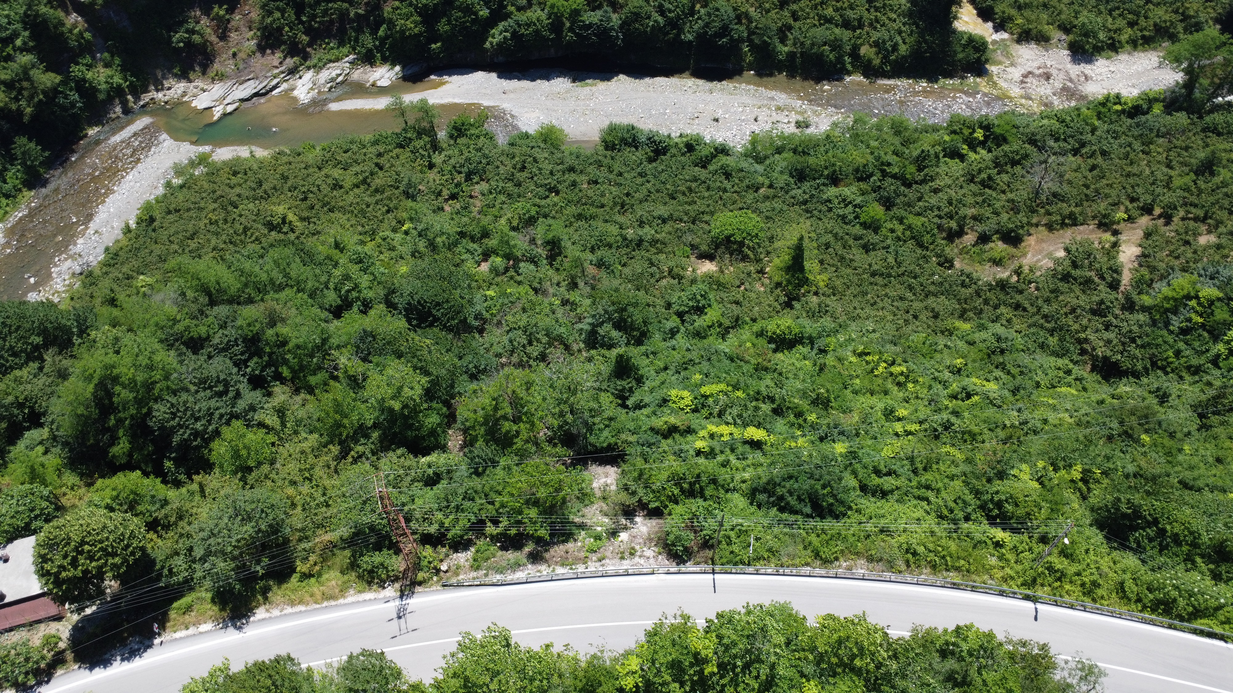 FATSA KAVRAZ MAH. ILICA YOLU ÜZERİ 1690 m2 F. BAHÇESİ