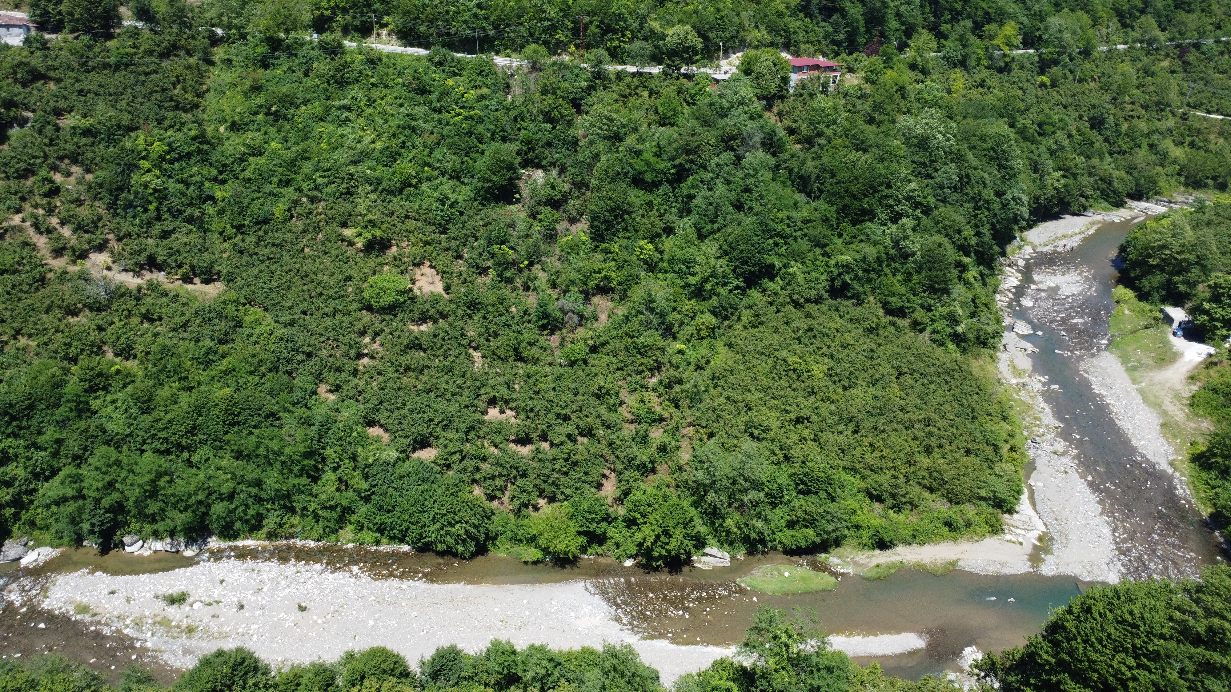 FATSA KAVRAZ MAH. ILICA YOLU ÜZERİ 1690 m2 F. BAHÇESİ