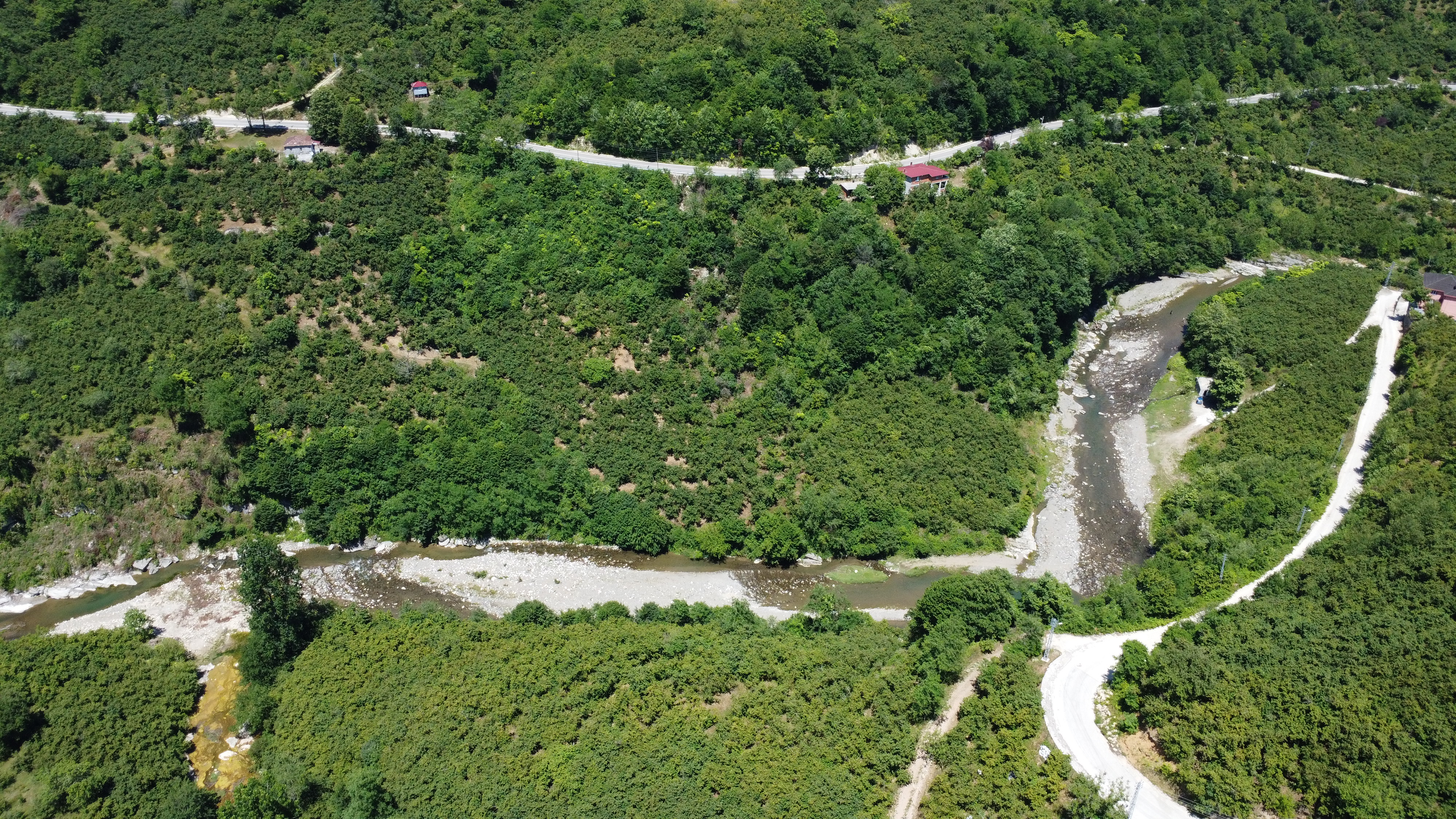 FATSA KAVRAZ MAH. ILICA YOLU ÜZERİ 1690 m2 F. BAHÇESİ