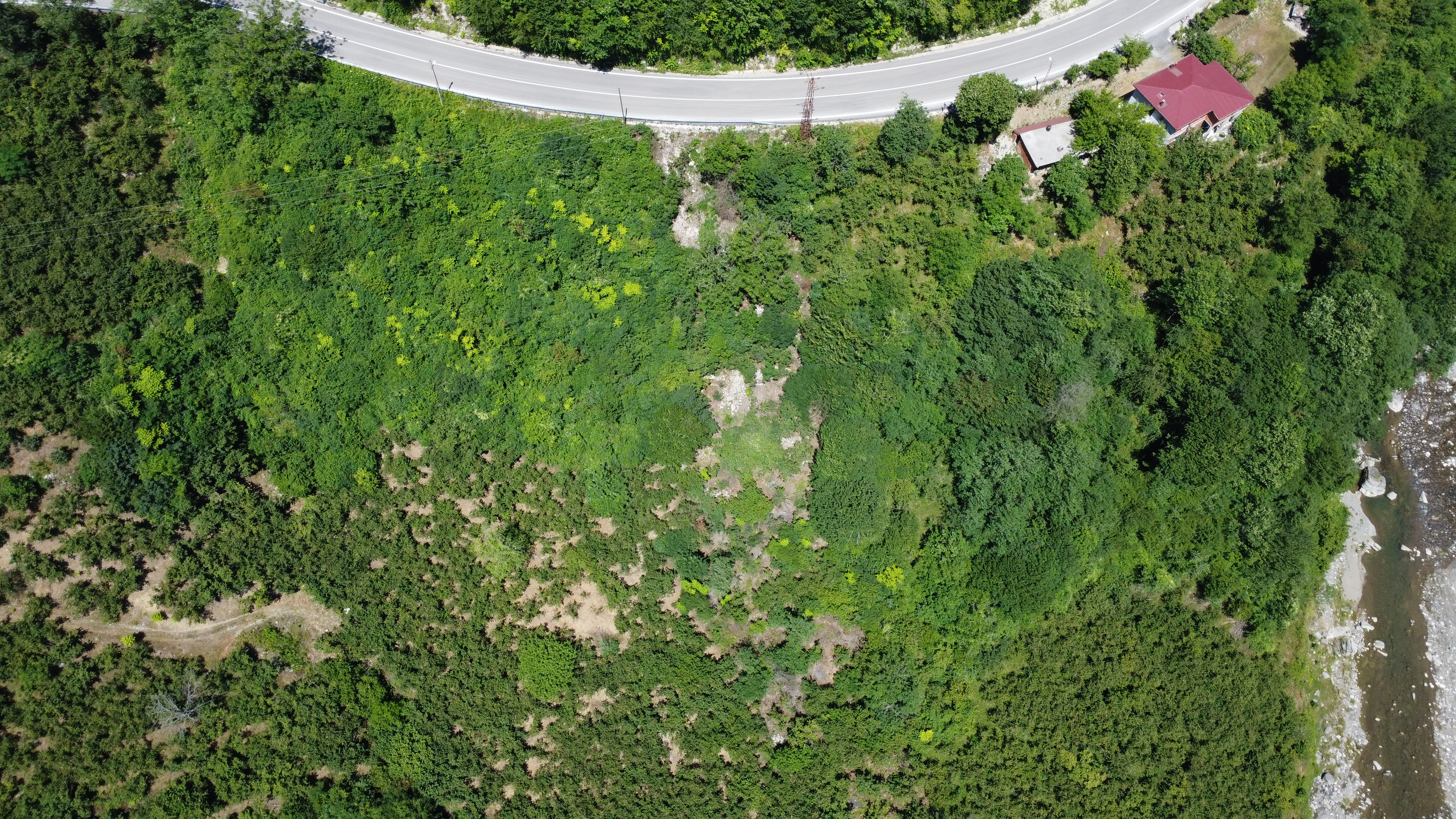 FATSA KAVRAZ MAH. ILICA YOLU ÜZERİ 1690 m2 F. BAHÇESİ