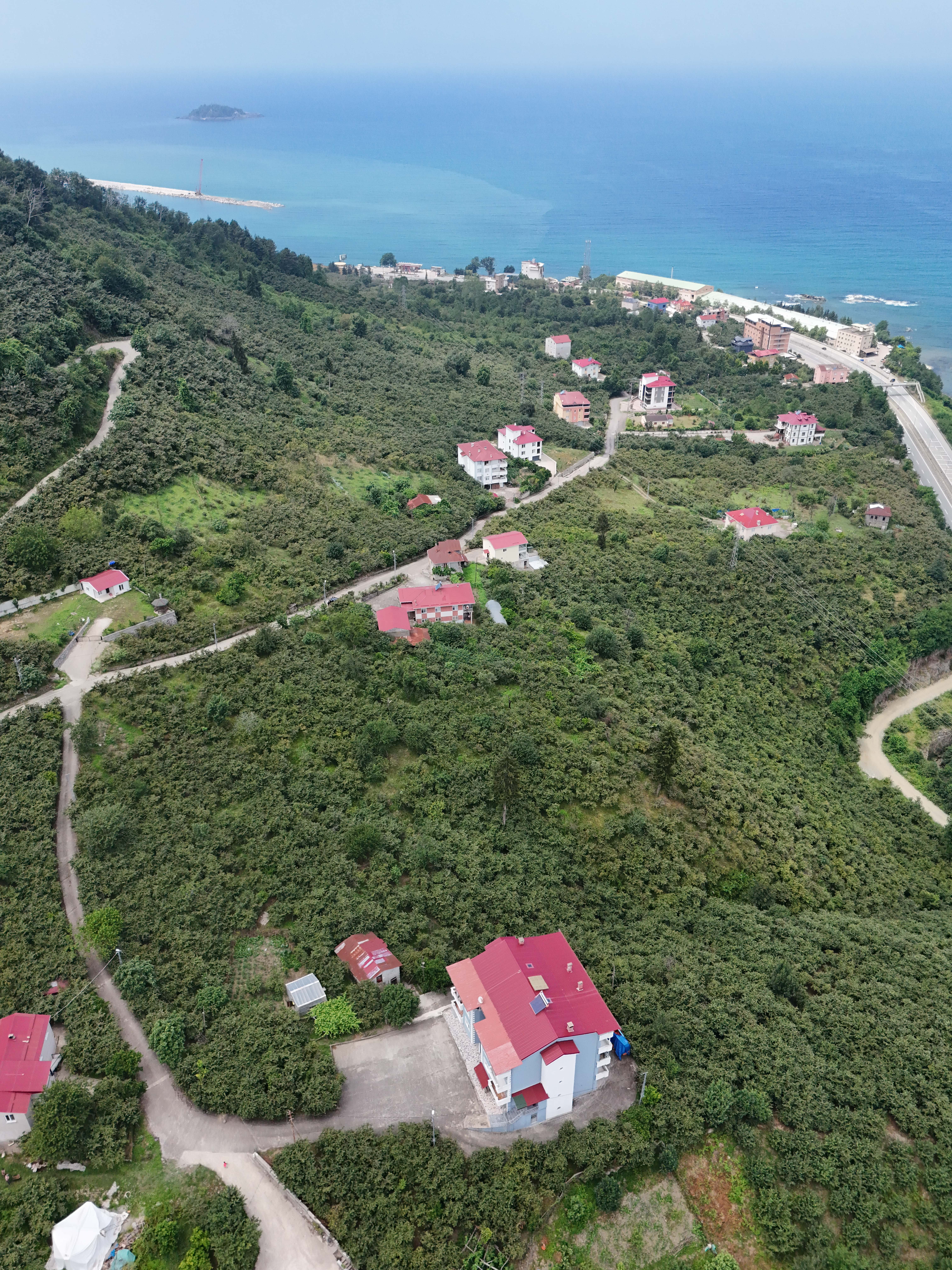 MABEL GAYRİMENKUL KEŞAP GÜNEYKÖYDE DENİZ MANZARALI VİLLALIK ARSA