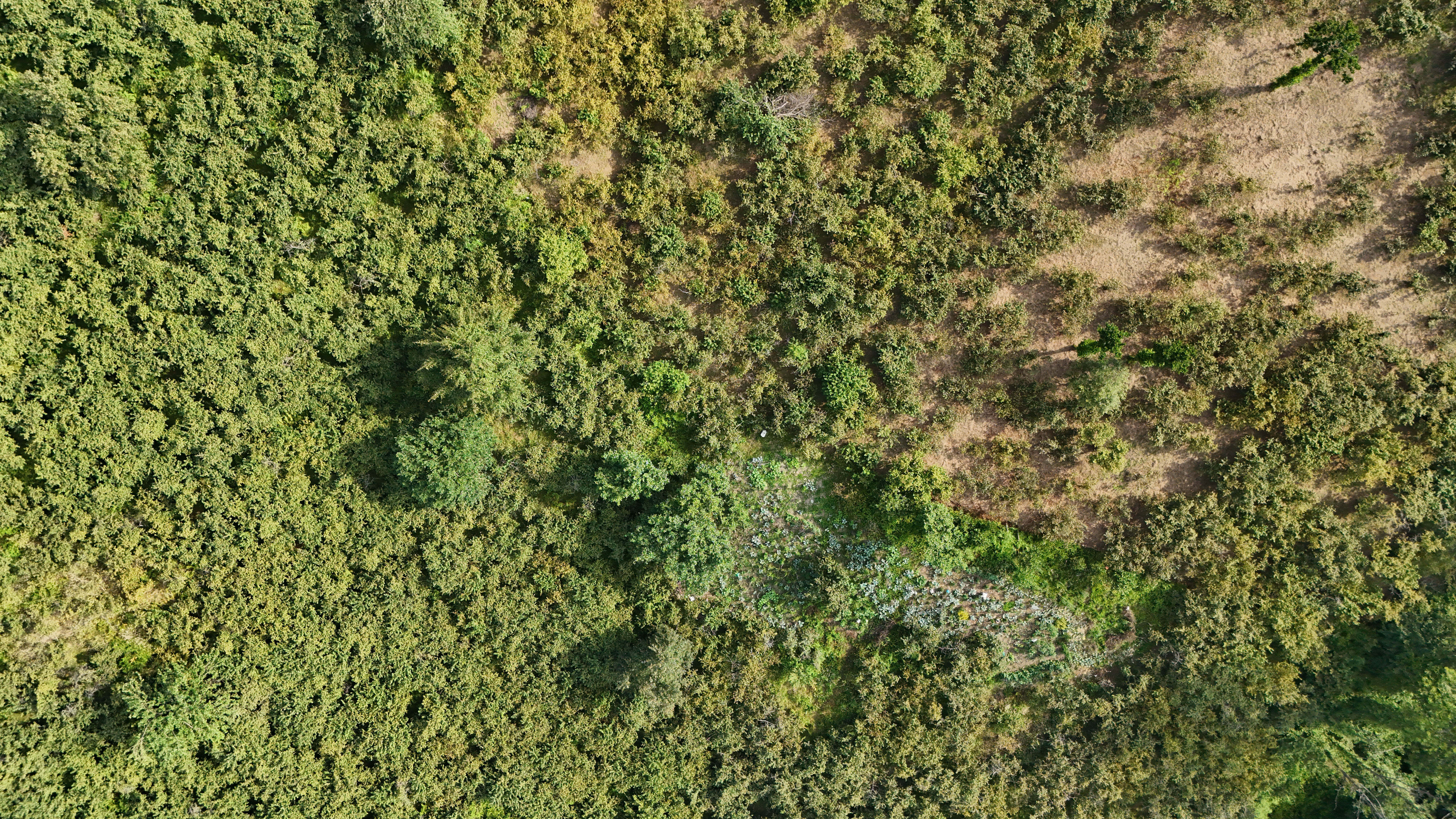 GEDİKKAYA MAH İMARLI DENİZ MANZARALI ARSA