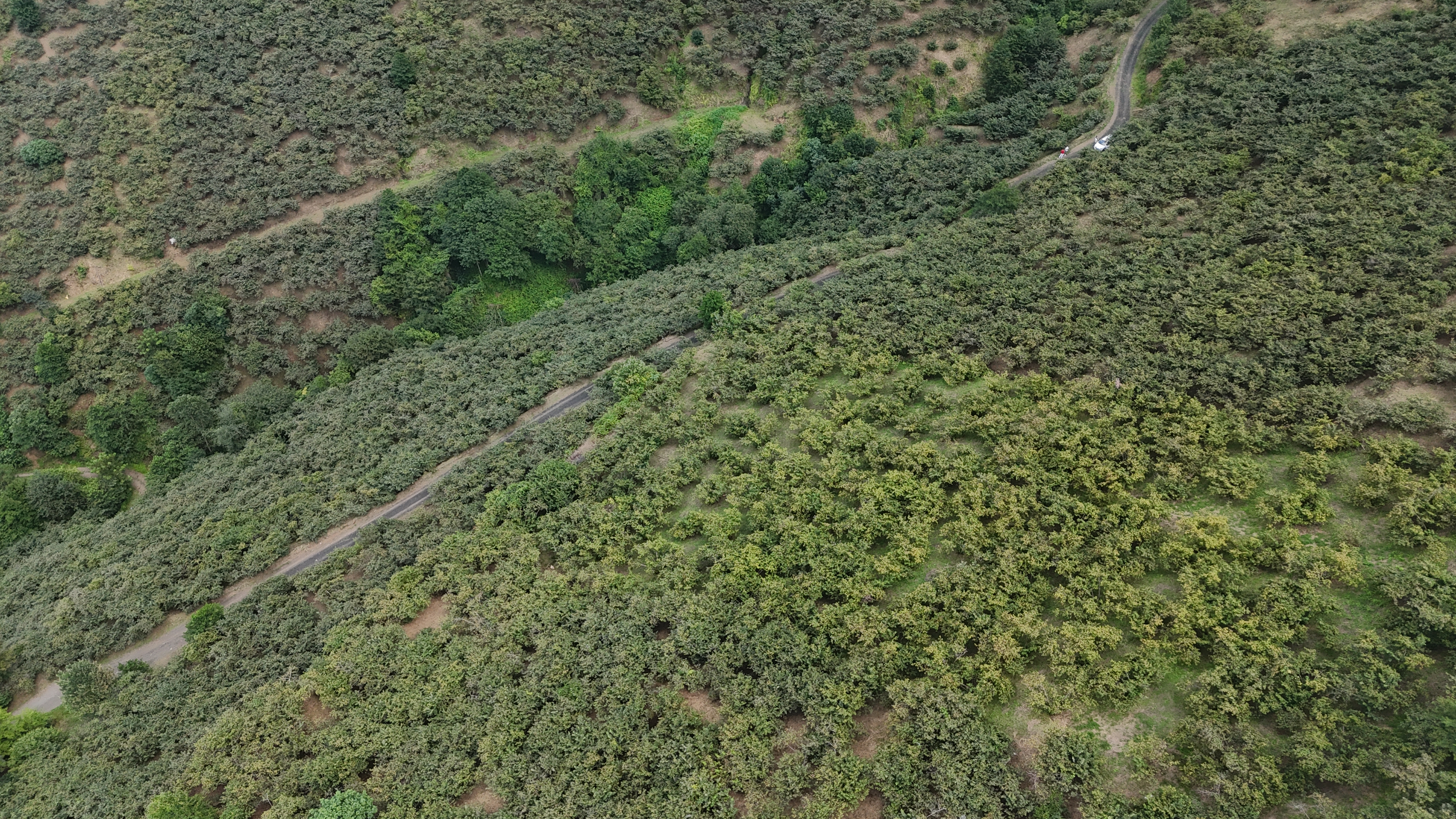 ÇARŞIBAŞINDA 2 ARSA 10 DÖNÜM