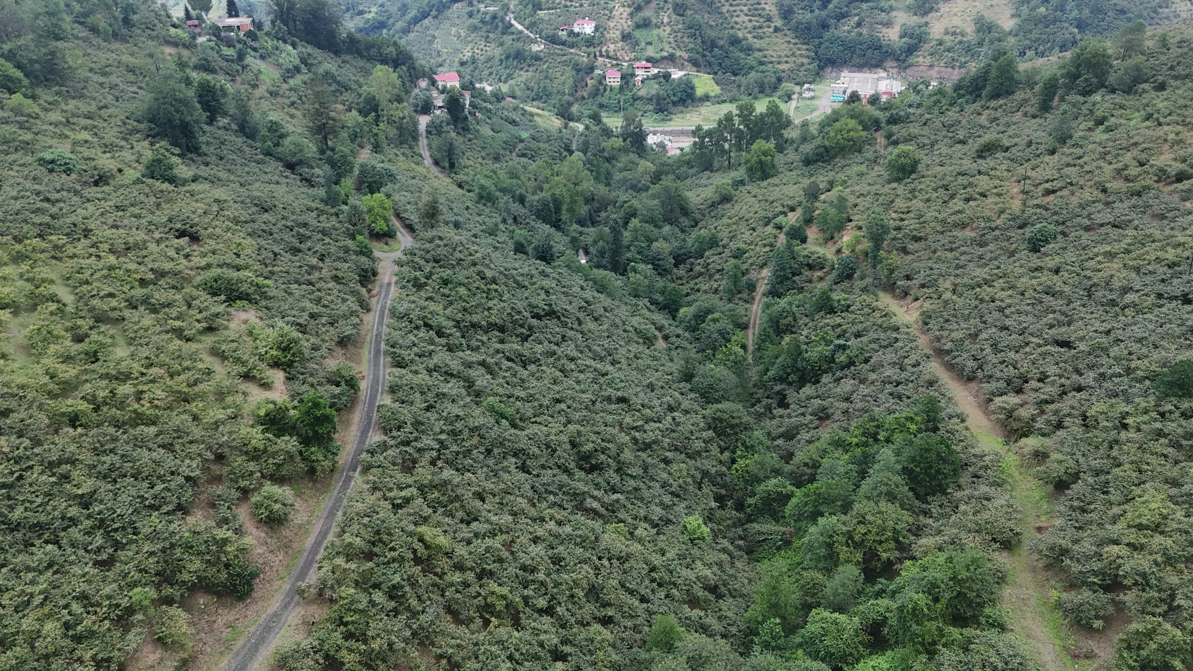 ÇARŞIBAŞINDA 2 ARSA 10 DÖNÜM