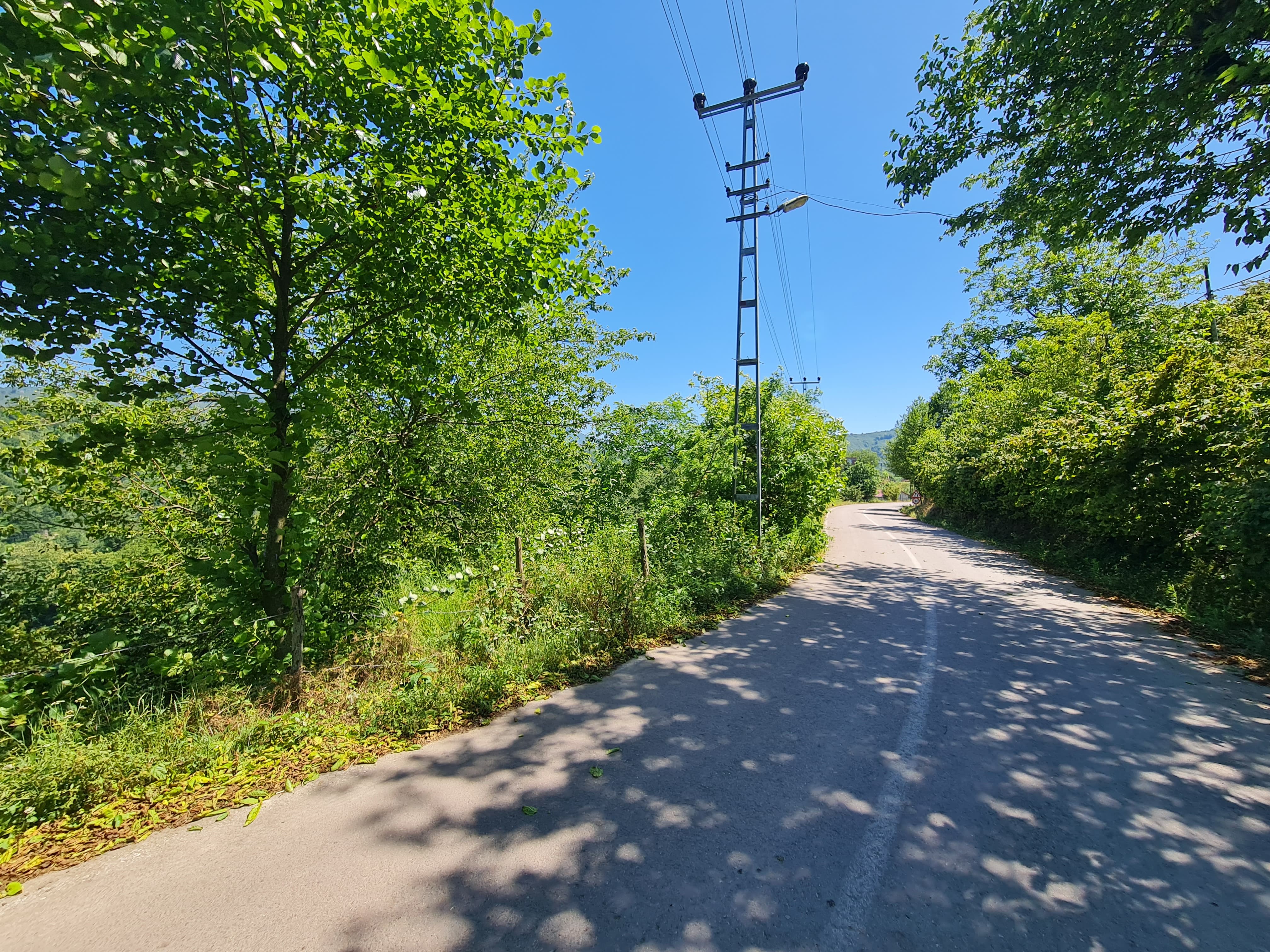 FATSA KAVRAZ MAH. ILICA YOLU ÜZERİ 1690 m2 F. BAHÇESİ