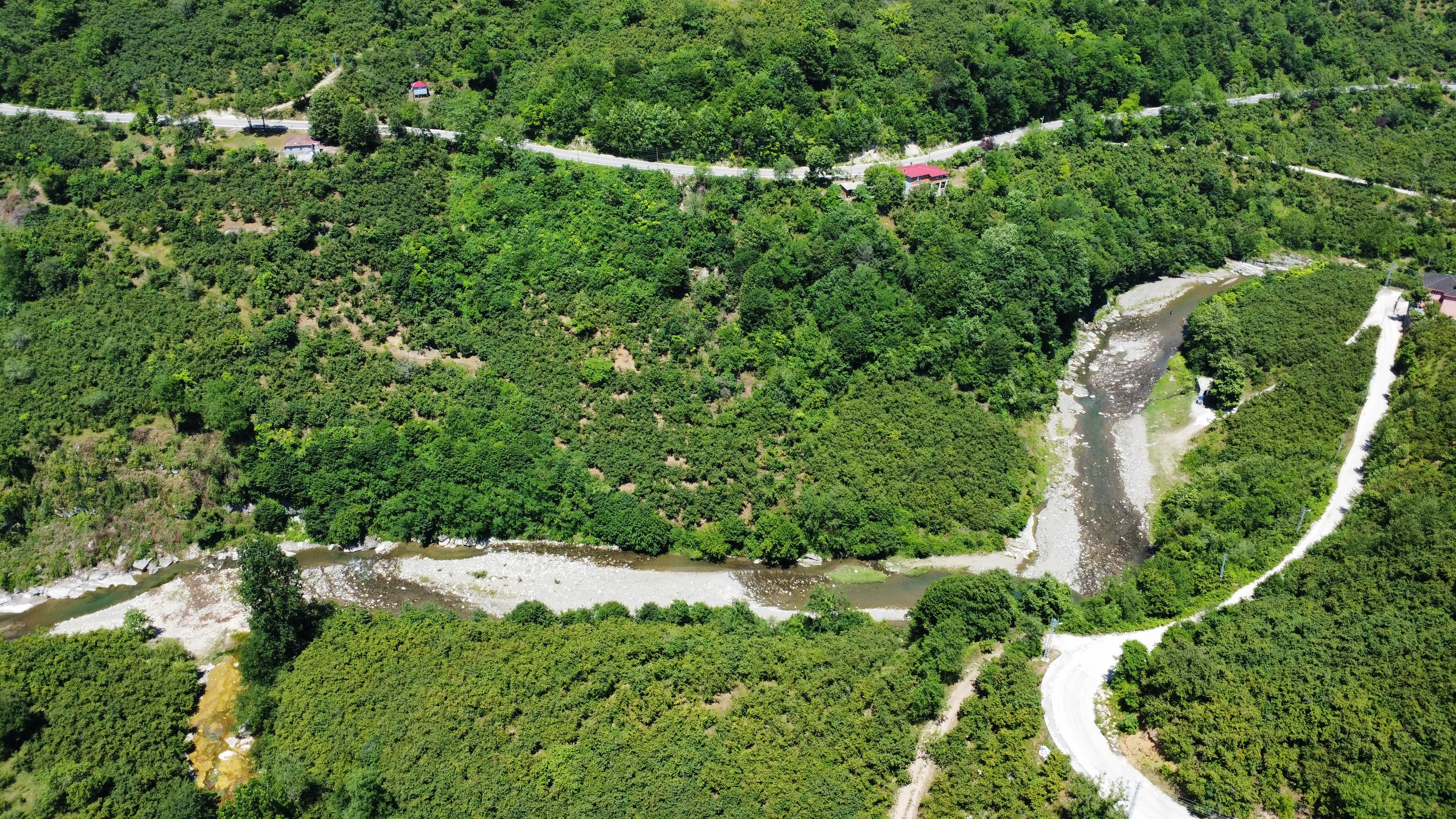 FATSA KAVRAZ MAH. ILICA YOLU ÜZERİ 1690 m2 F. BAHÇESİ