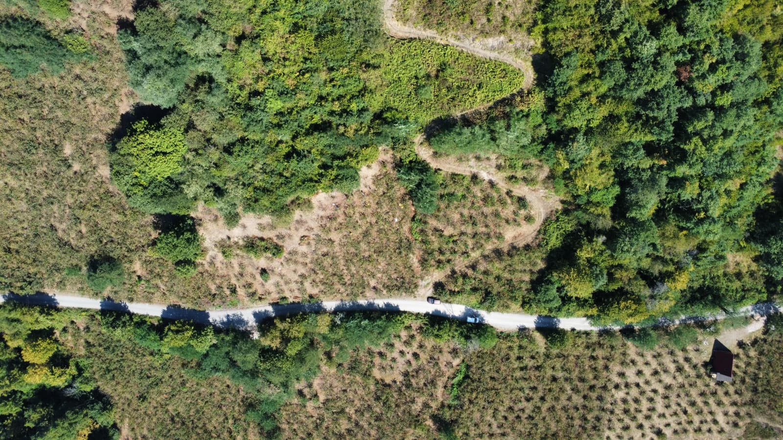 FATSA ŞEREFİYE MH. YOLA 70 METRE CEPHELİ 2.243 m2 ARSA