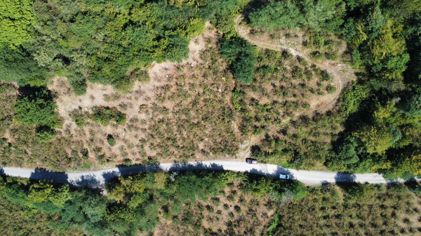 FATSA ŞEREFİYE MH. YOLA 70 METRE CEPHELİ 2.243 m2 ARSA