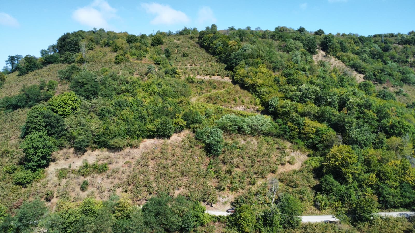 FATSA ŞEREFİYE MH. YOLA 70 METRE CEPHELİ 2.243 m2 ARSA