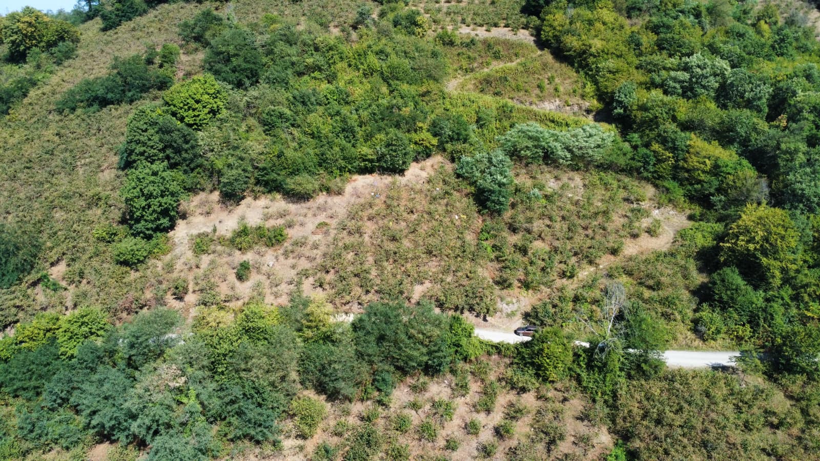 FATSA ŞEREFİYE MH. YOLA 70 METRE CEPHELİ 2.243 m2 ARSA