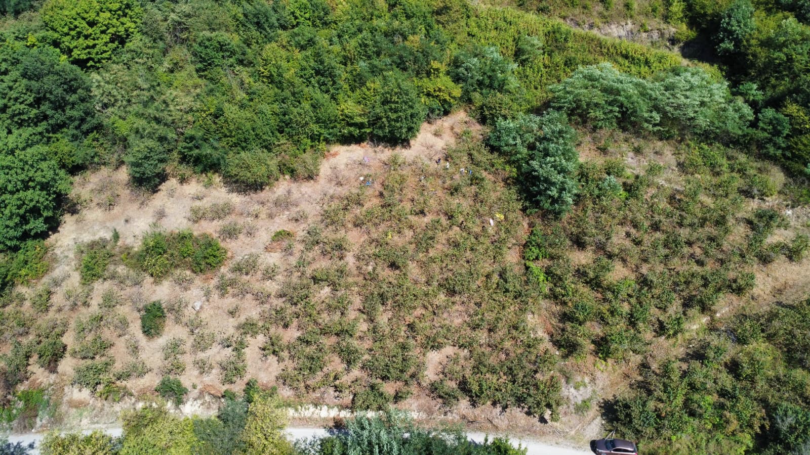 FATSA ŞEREFİYE MH. YOLA 70 METRE CEPHELİ 2.243 m2 ARSA