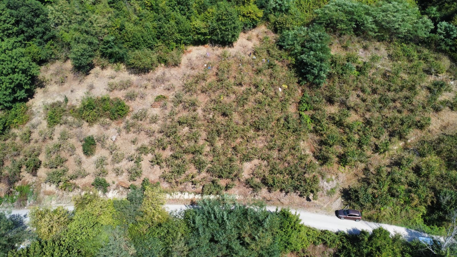 FATSA ŞEREFİYE MH. YOLA 70 METRE CEPHELİ 2.243 m2 ARSA