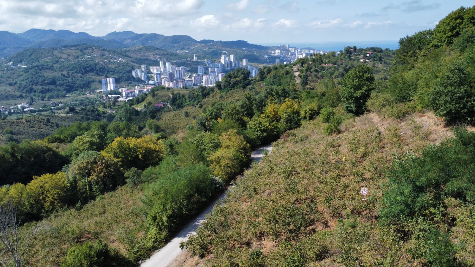 FATSA ŞEREFİYE MH. YOLA 70 METRE CEPHELİ 2.243 m2 ARSA