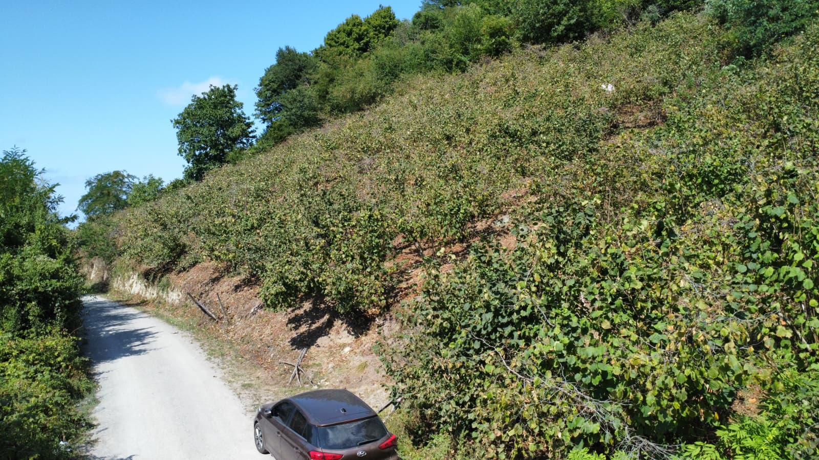 FATSA ŞEREFİYE MH. YOLA 70 METRE CEPHELİ 2.243 m2 ARSA