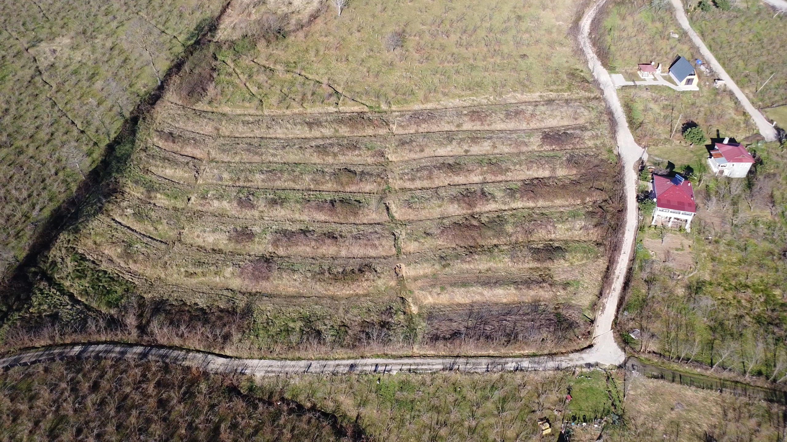 MABEL'DEN BURHANETTİN MAH. DENİZ MANZARALI BAHÇE