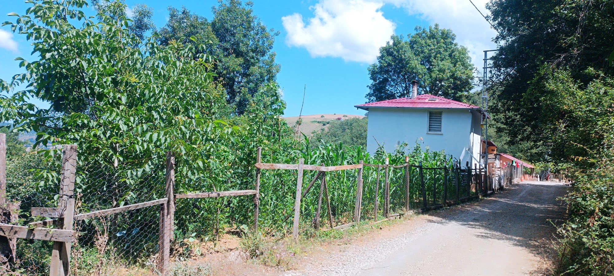 KIZILOĞLAK EV VE TARLA