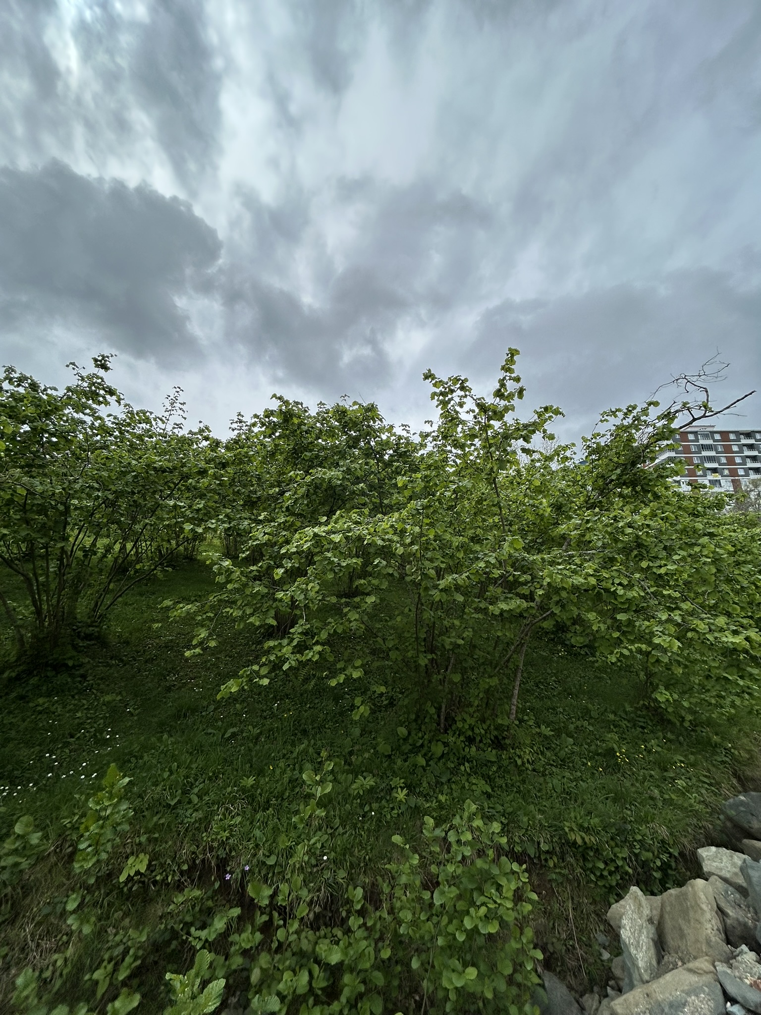 GEDİKKAYA MAH İMARLI DENİZ MANZARALI ARSA