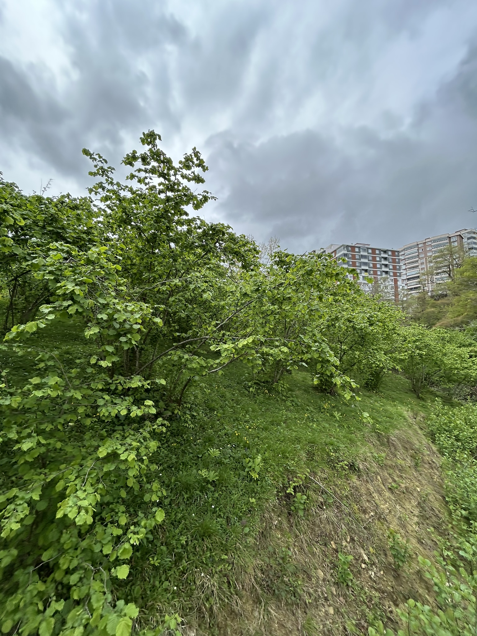 GEDİKKAYA MAH İMARLI DENİZ MANZARALI ARSA