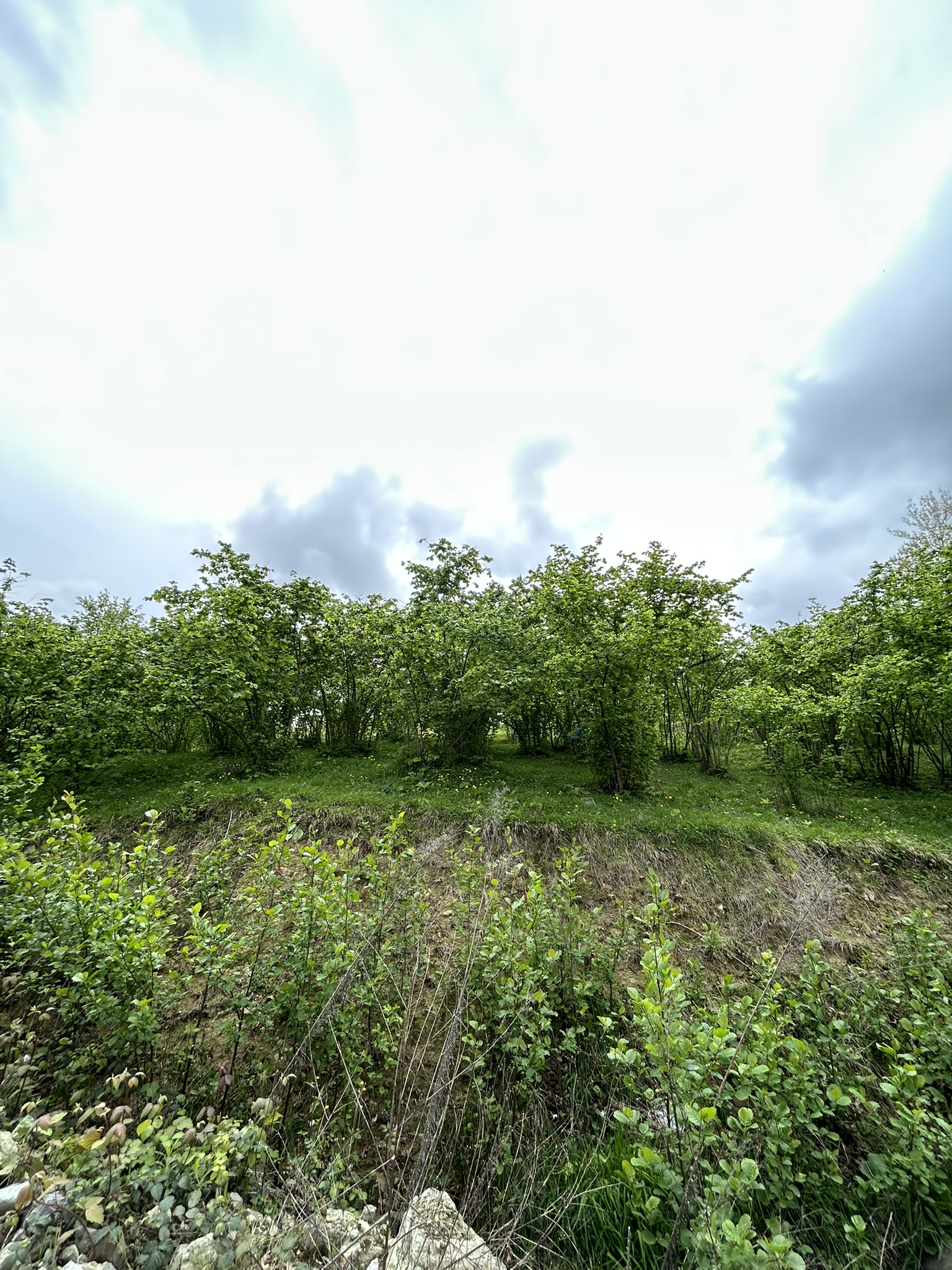GEDİKKAYA MAH İMARLI DENİZ MANZARALI ARSA