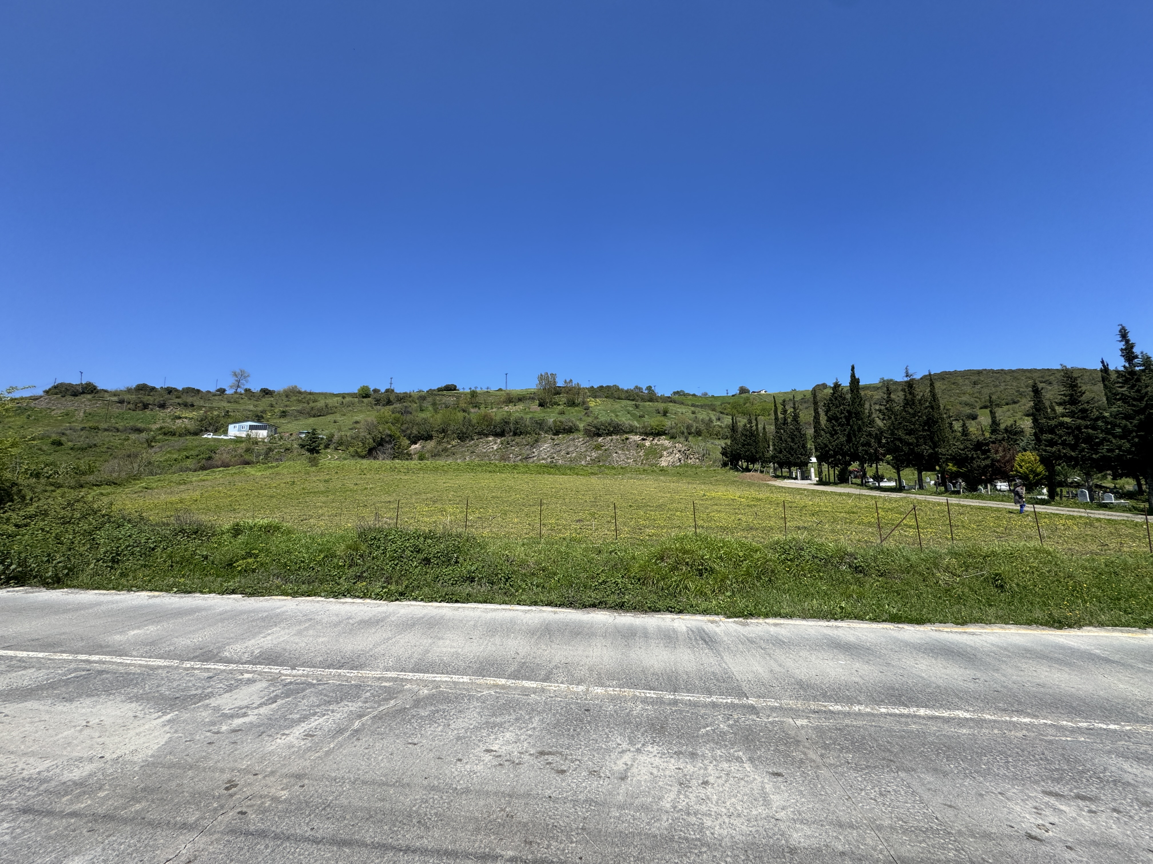 MABEL SAMSUN'DAN TAFLAN'DA YOLA CEPHE SATILIK TARLA