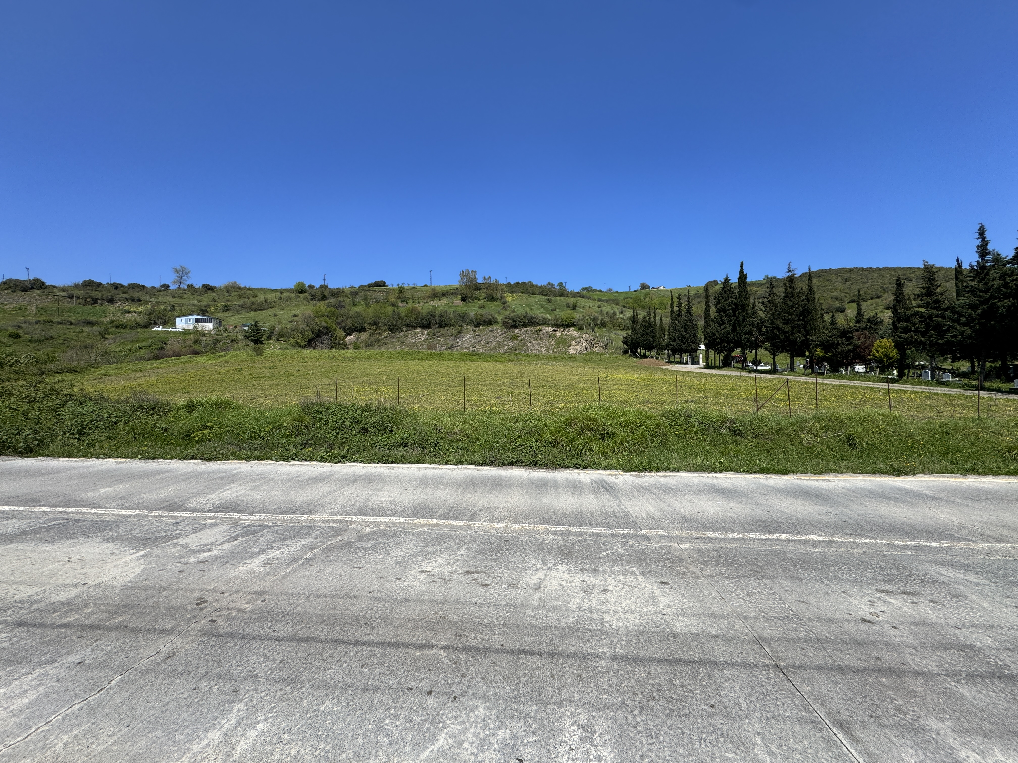 MABEL SAMSUN'DAN TAFLAN'DA YOLA CEPHE SATILIK TARLA