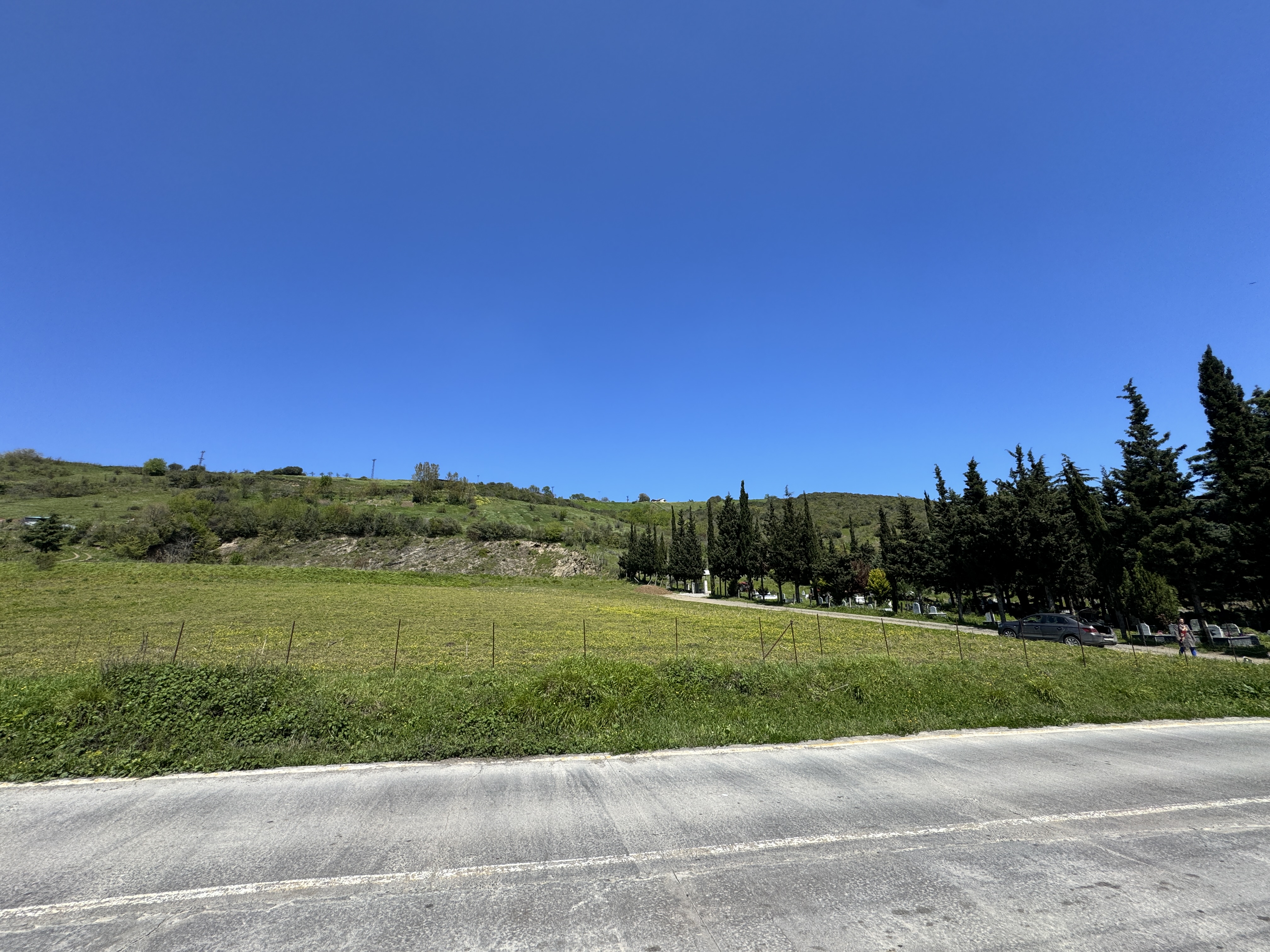 MABEL SAMSUN'DAN TAFLAN'DA YOLA CEPHE SATILIK TARLA